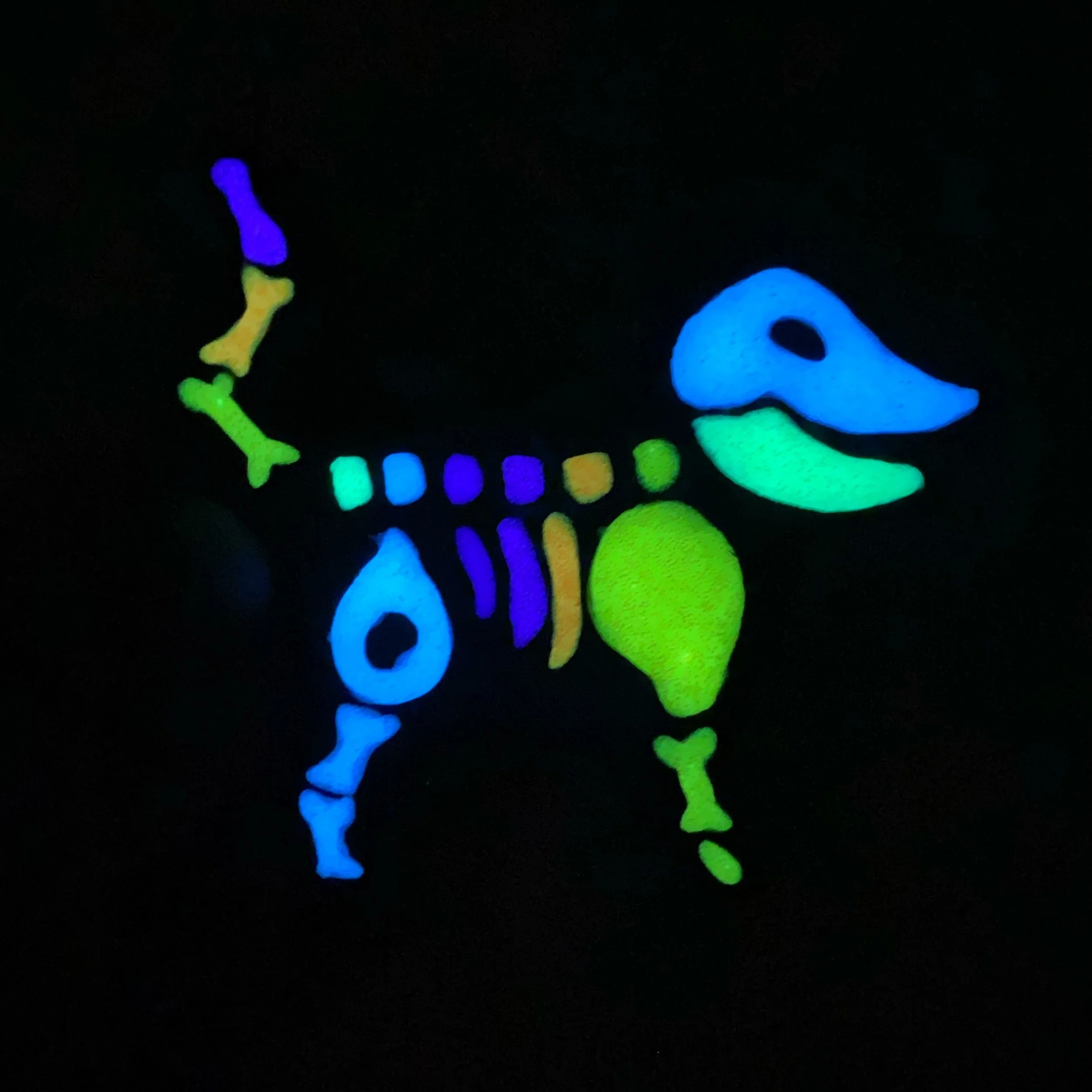 rainbow_possum_skeleton_necklace_2.jpeg
