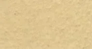 Sandy Beige
