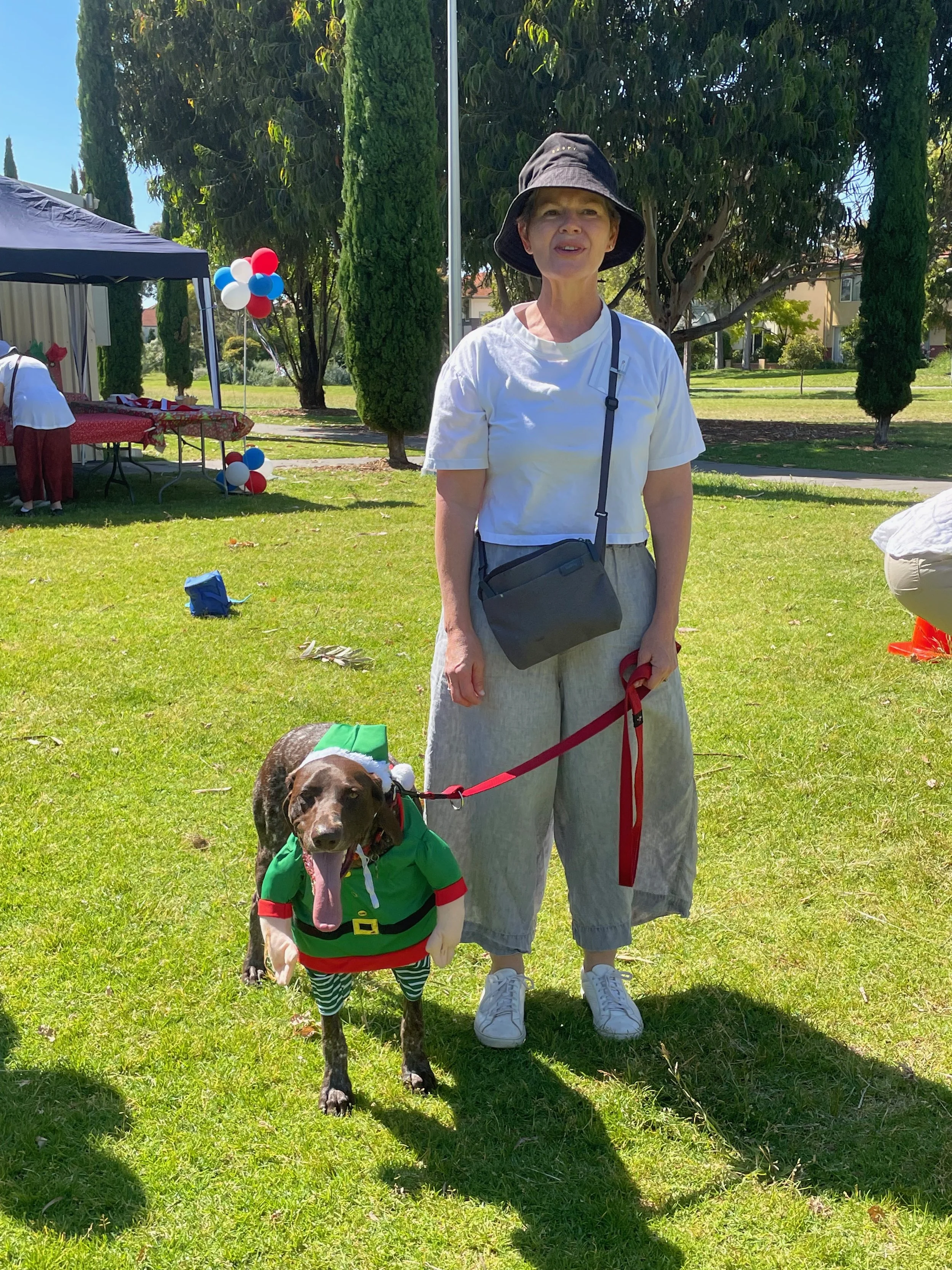 Photos — Hobsons Bay Obedience Dog Club