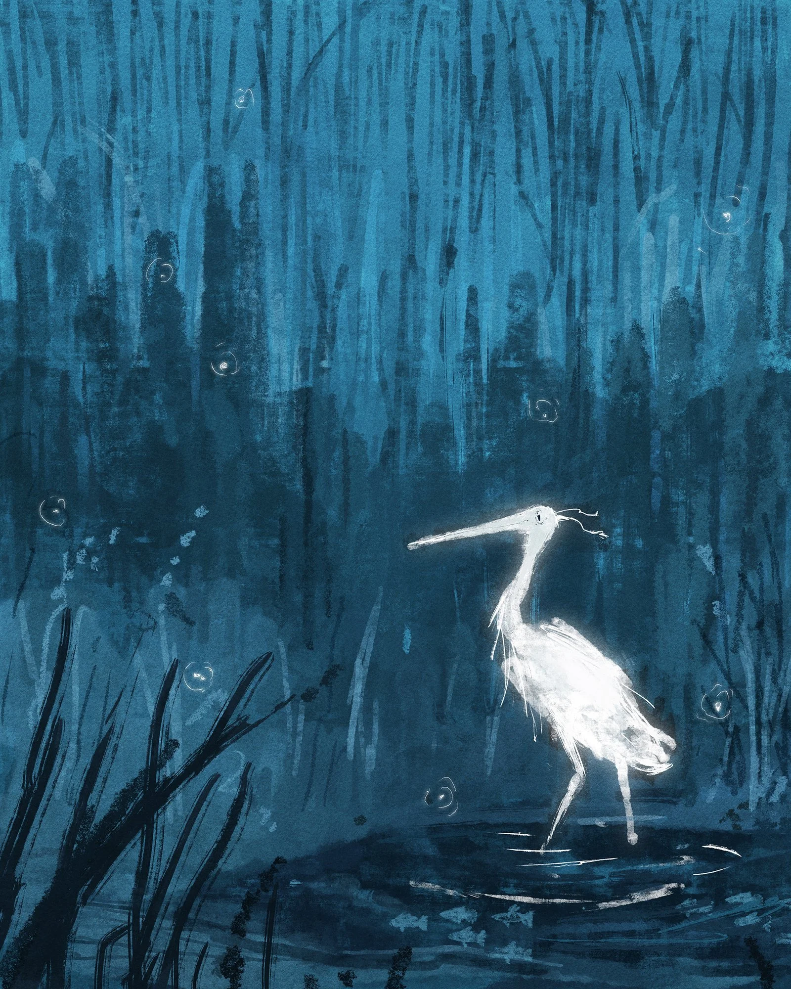 Shop_Squarespace_38_GreatWhiteFisherman.jpg
