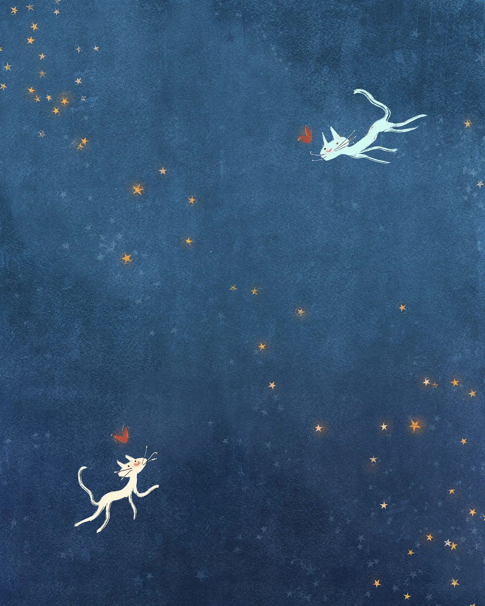 Shop_Squarespace_46_StarCrossed.jpg