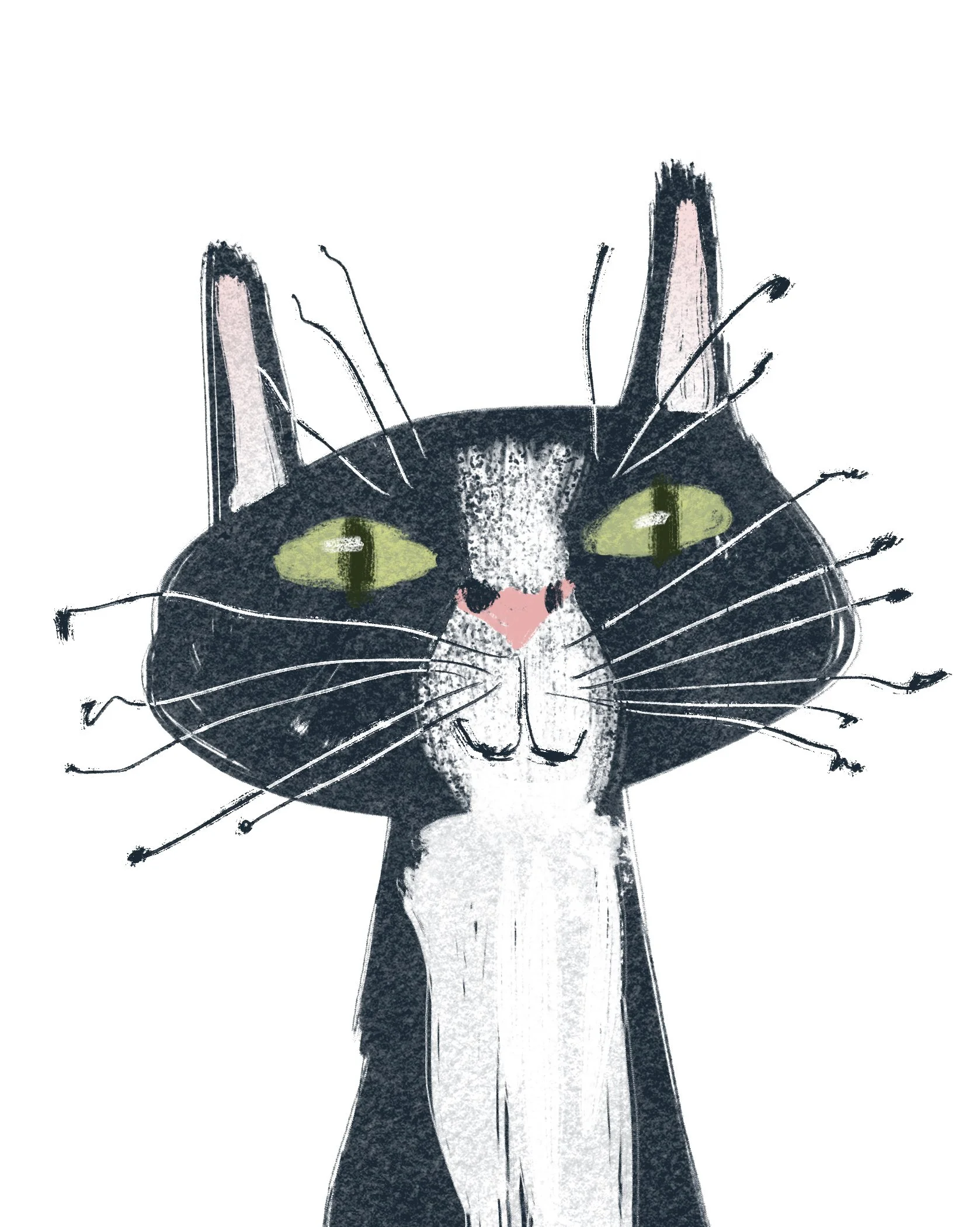 Obi Commision pic.jpg