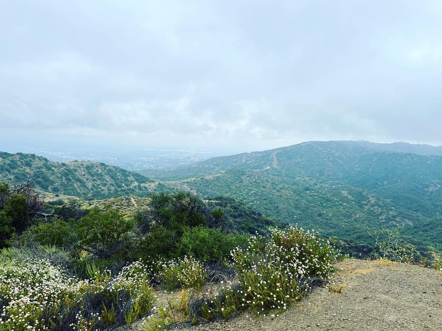 A cloudy hike with a weird shadow🤯