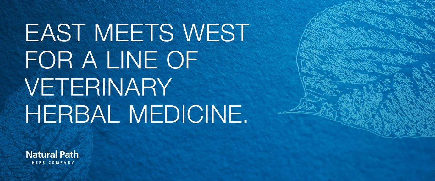 Natural Path — KrauseDesignGroup