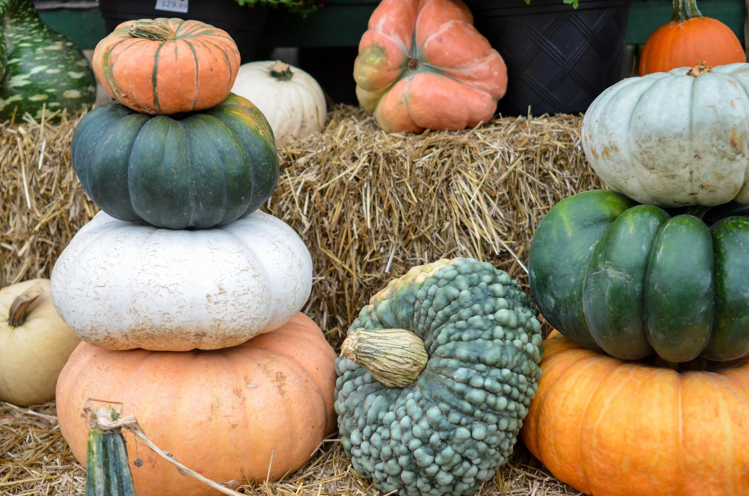 Reception: A Series Of Interviews On The Heart Of Hospitality (Featuring Patricia Williams)