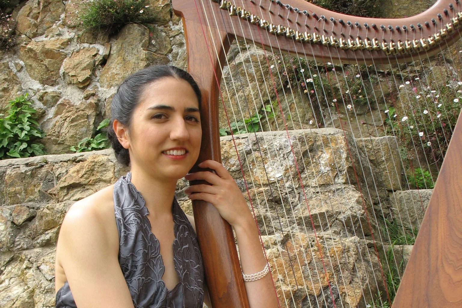 Portiaharp2.jpg