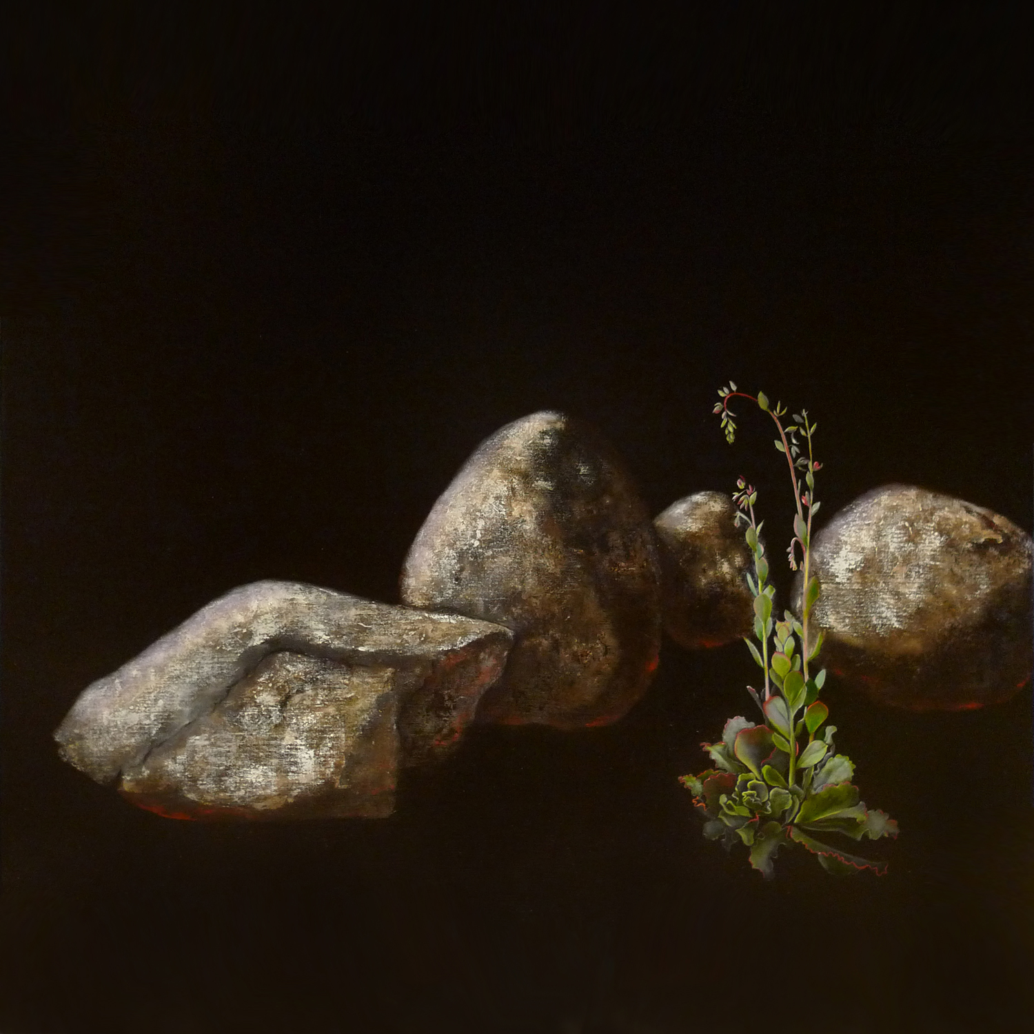 Penelope Aitken, Second Nature, 2011, oil and acrylic on linen, 97 x 97 cm