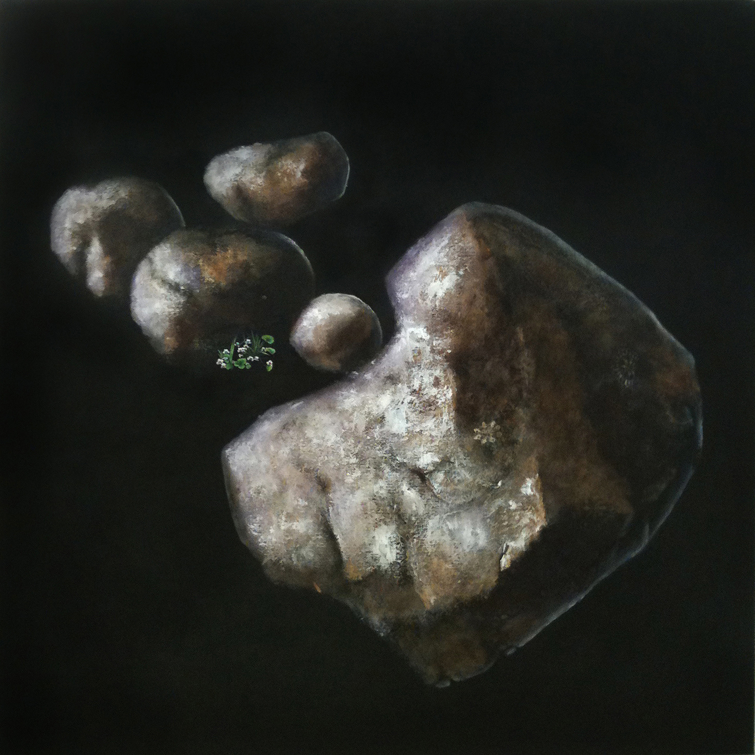 Penelope Aitken, Essentially permissive, the artist imagines glacial erratics in Gordon Ford's rockery, 2011, oil on linen, 97 x 97cm