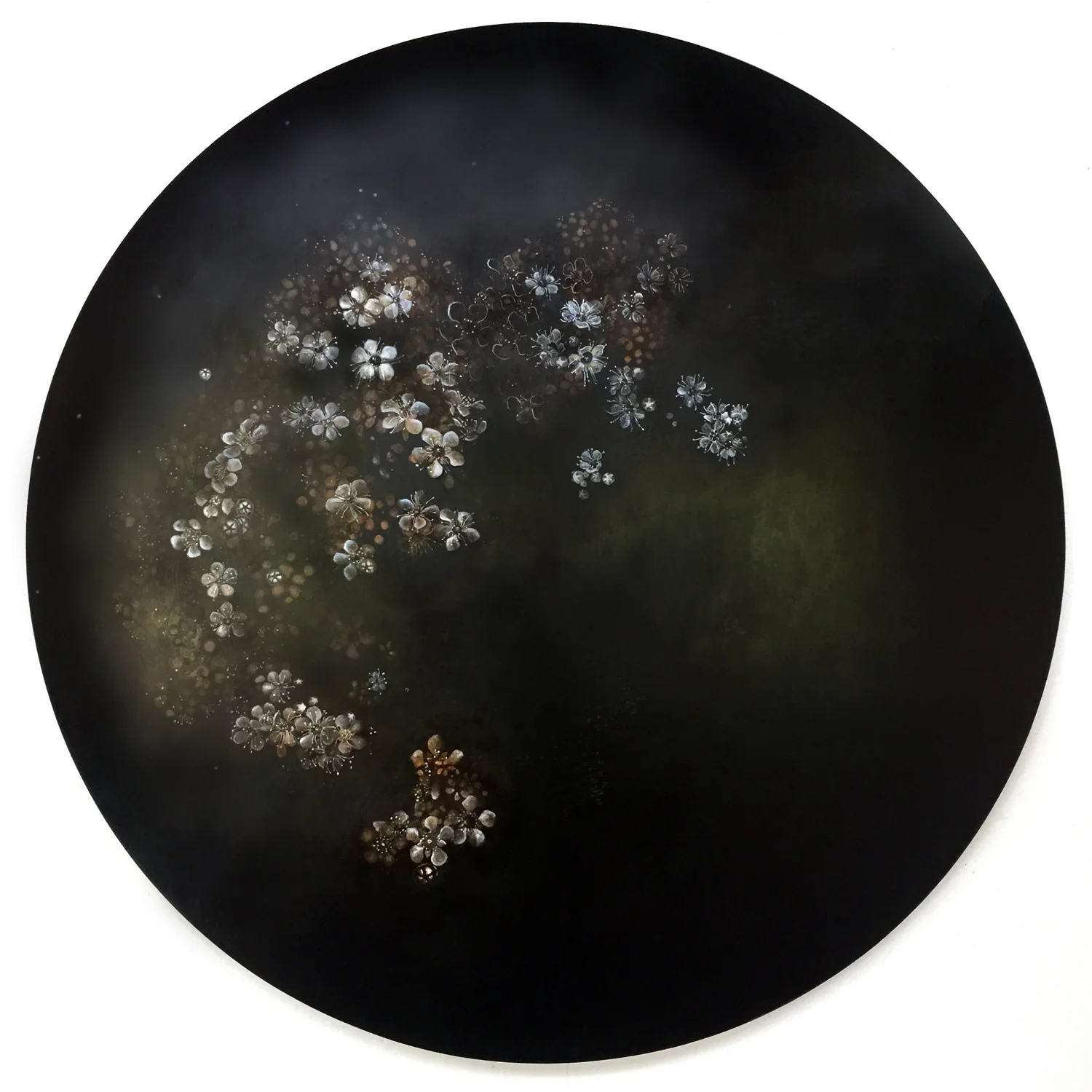 Penelope Aitken, Polypetalous pentamerous , 2019, (detail), oil, plant ink and wax on board 90 cm dia. Finalist, Bayside Acquisitive Art Prize 2019