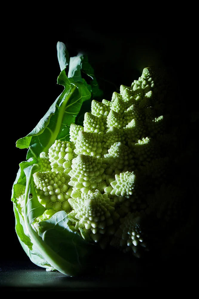 fractal_food_MG_6251sm.jpg