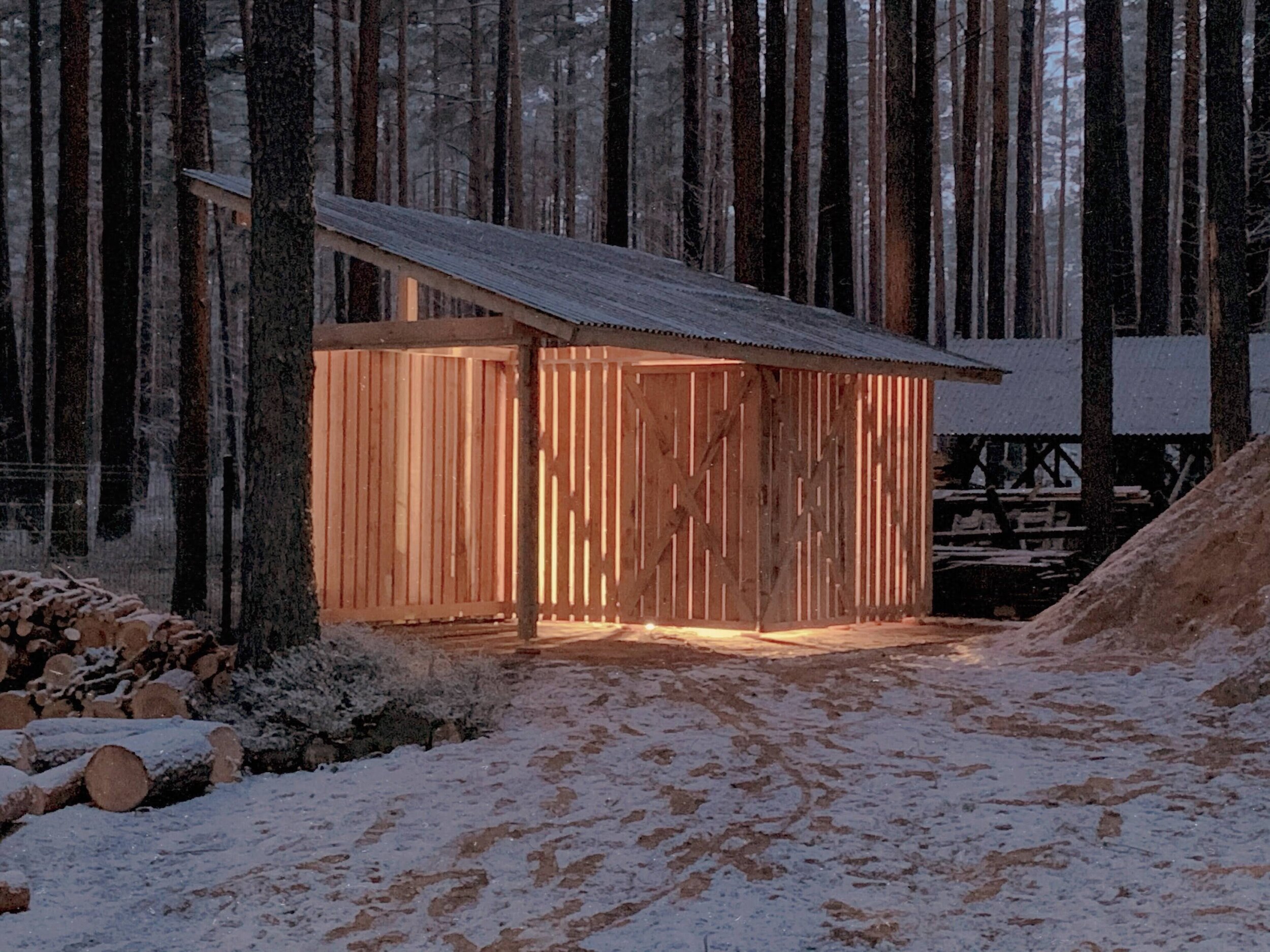 shed_in_a_forest_1