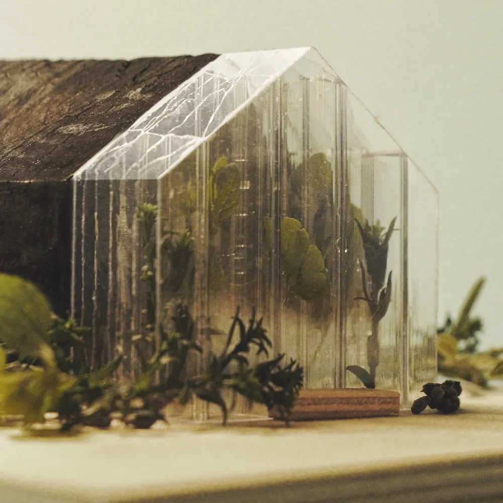 House on a Hill