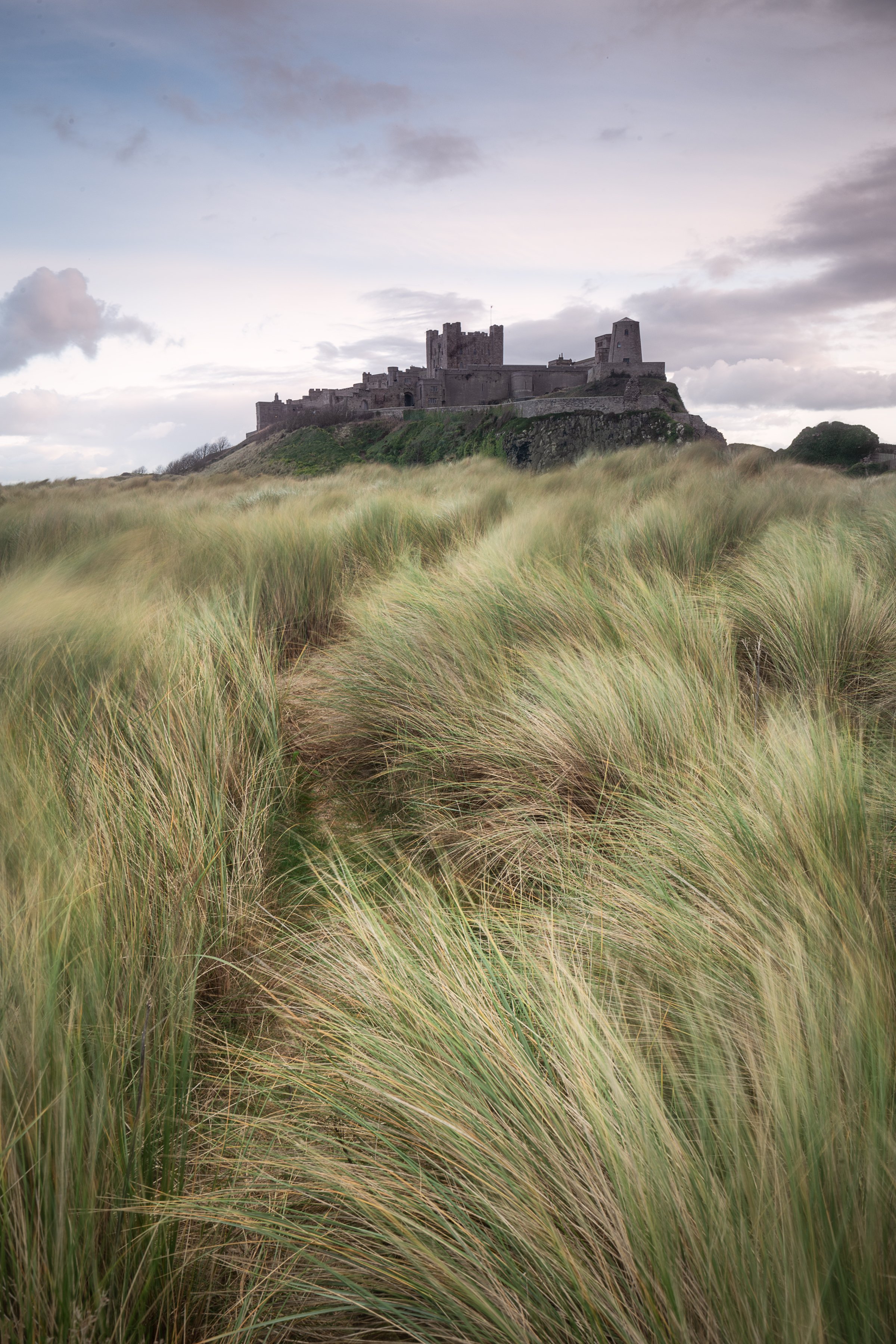 A castle atop a hill viewed through a field of tall grass with a cloudy sky overhead.