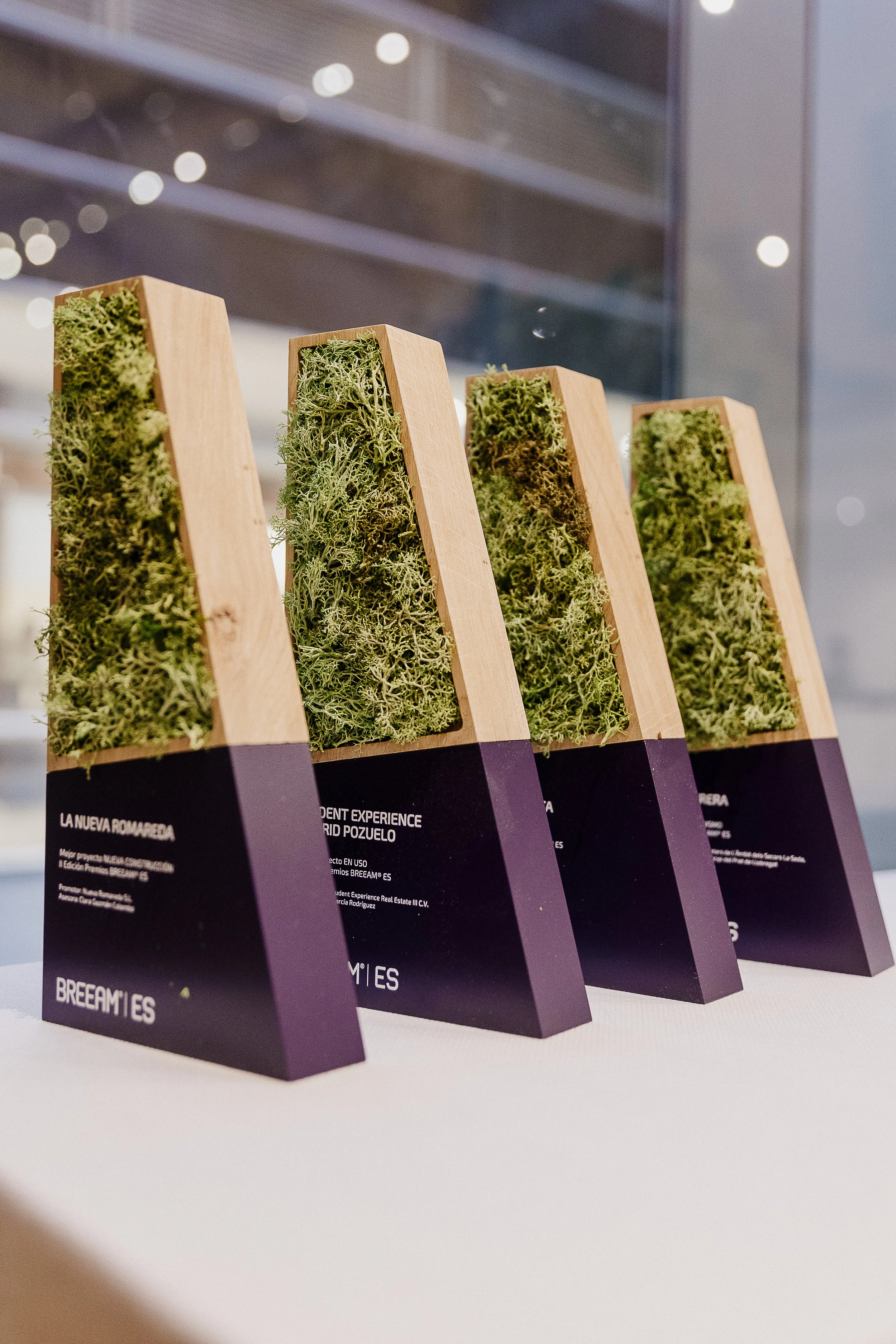 Por qué repetir con el mismo equipo de fotografía y vídeo puede ser tu mejor decisión (aunque el evento sea en otra ciudad)