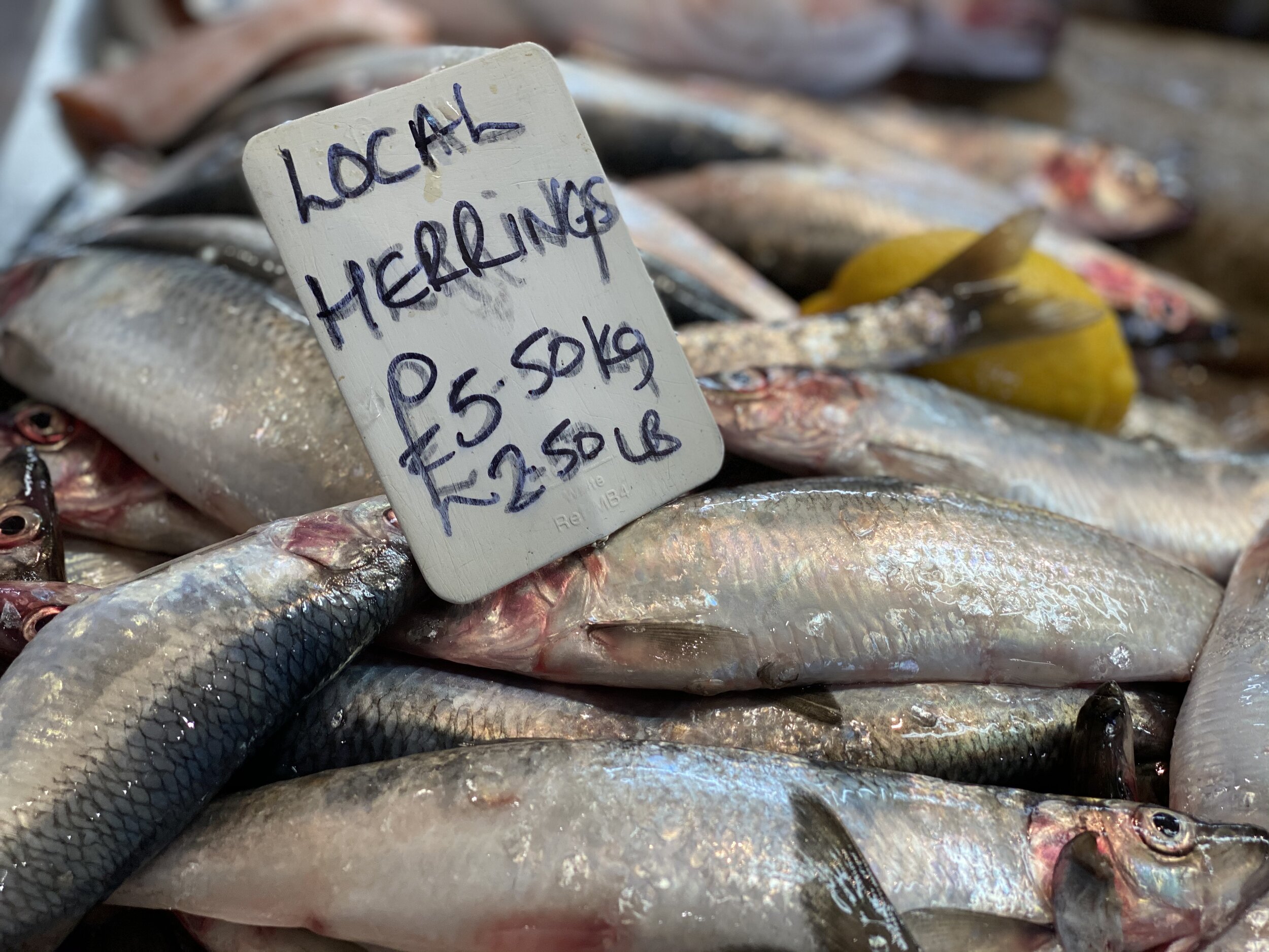 Guild of Food Writers Herring Workshop