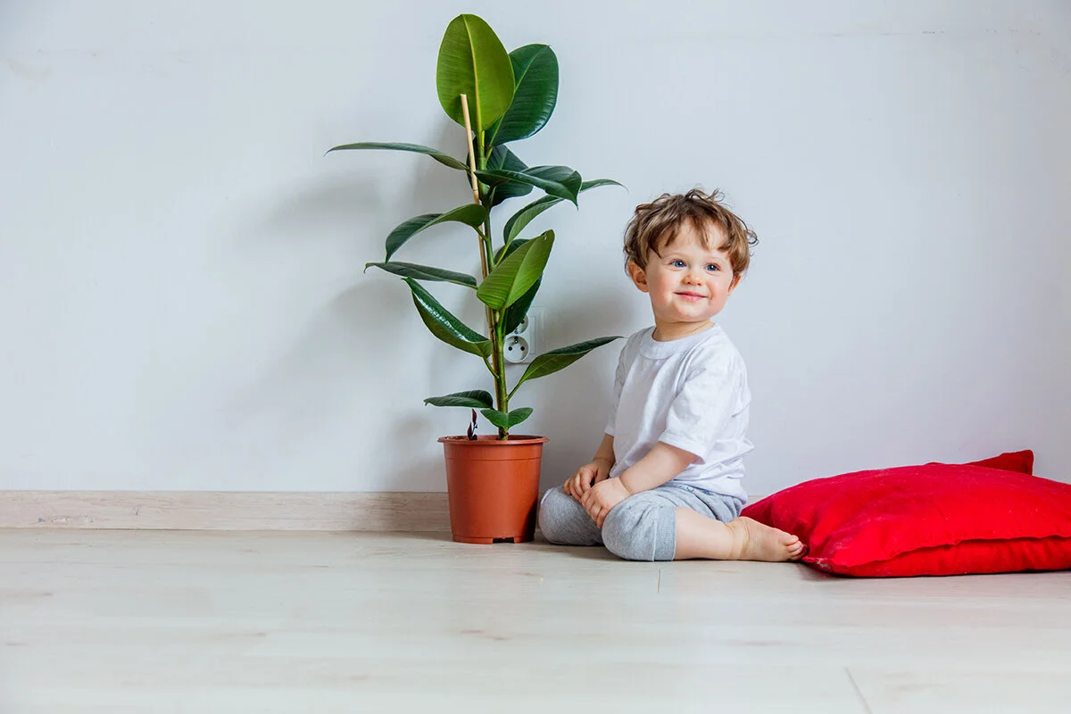 indoor air quality – because we need it