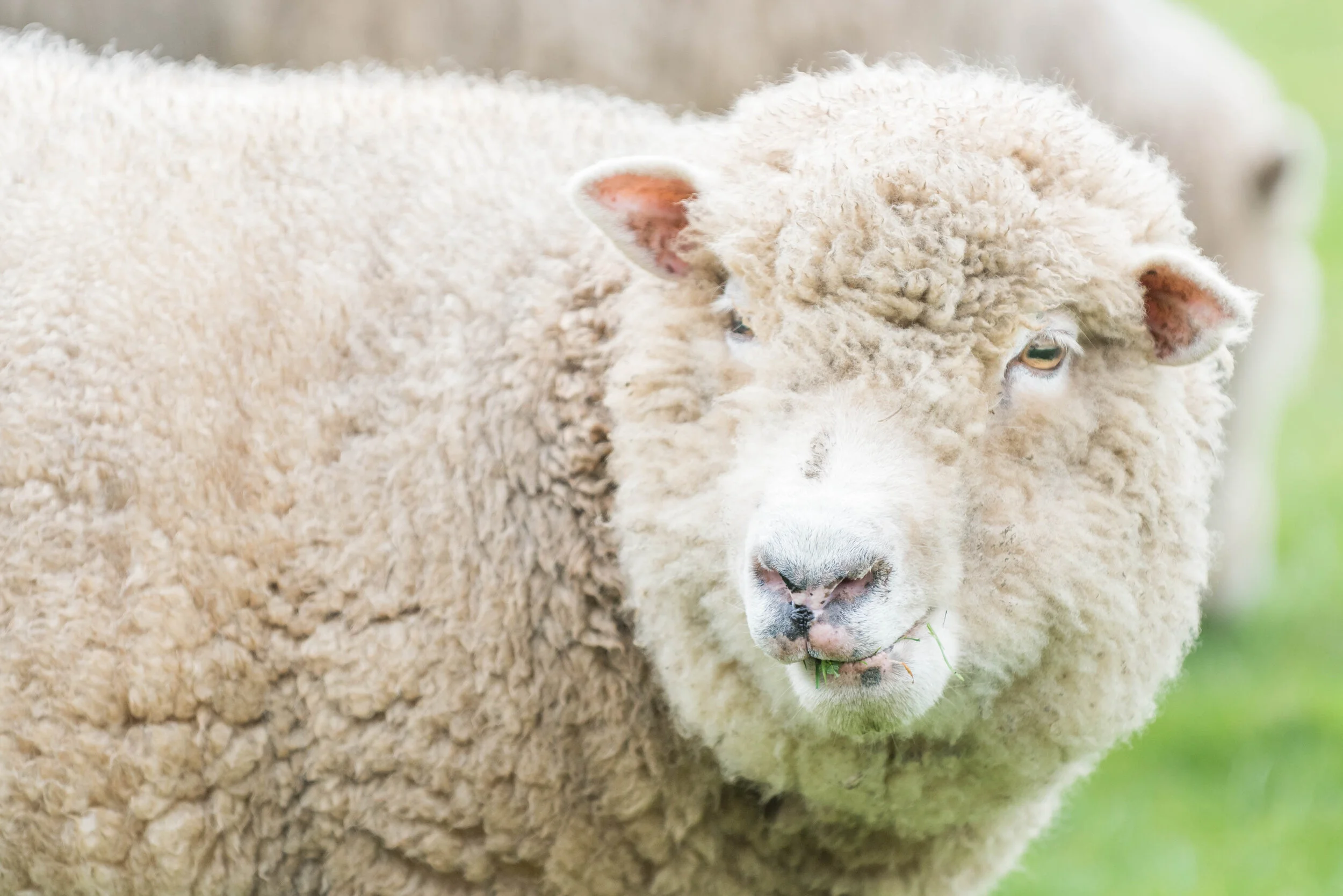 insulation - keep it natural for you and the planet