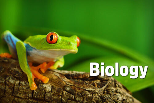 IB Biology subject resources