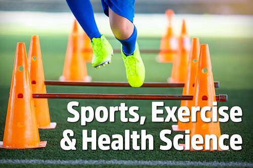 IB Sports Exercise and Health Science subject resources