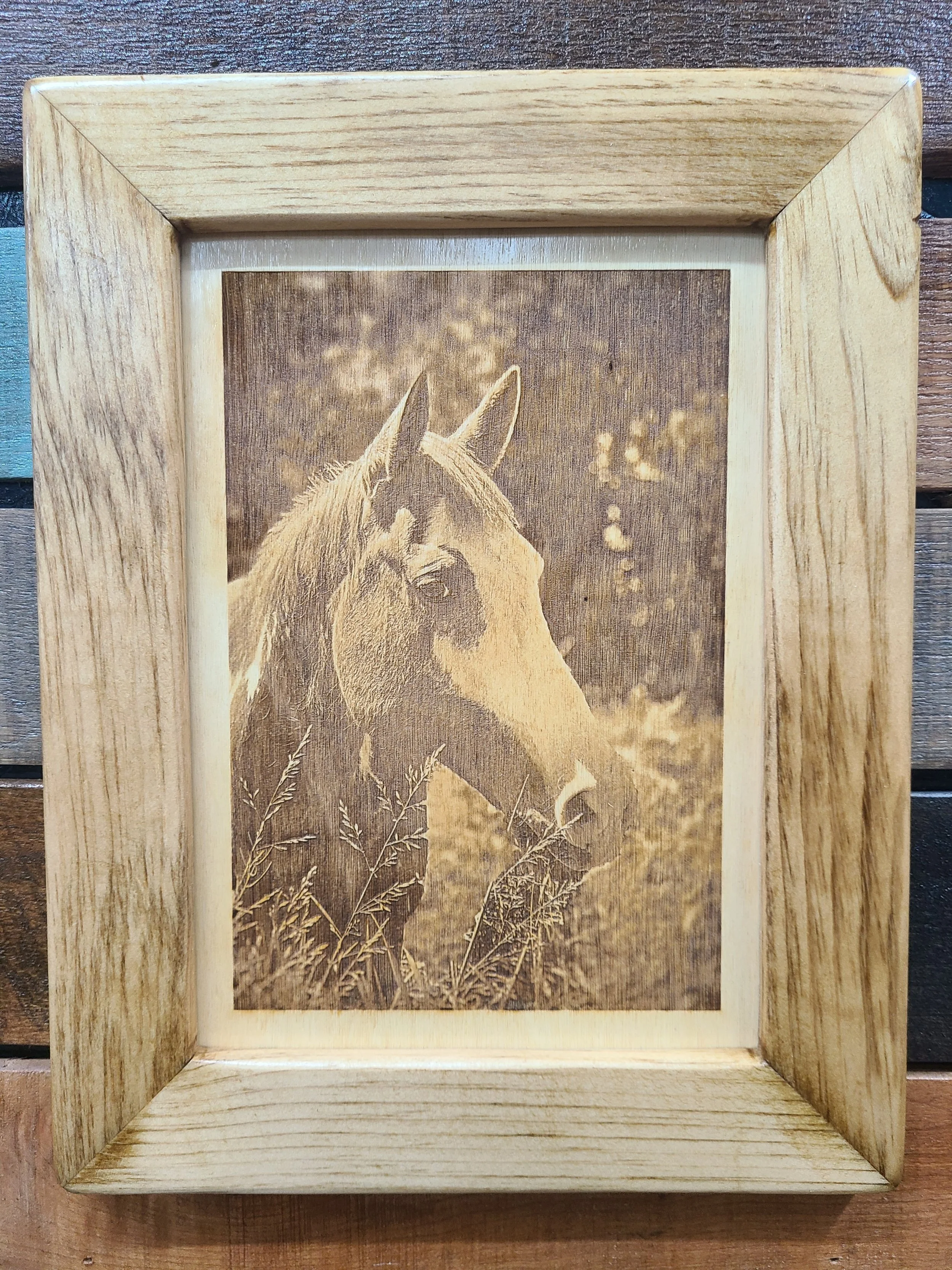 Cei Cei from Bella Terra Stables