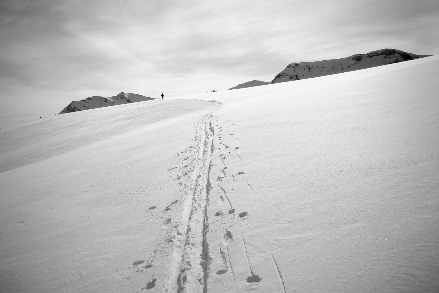 In the Maligne Range