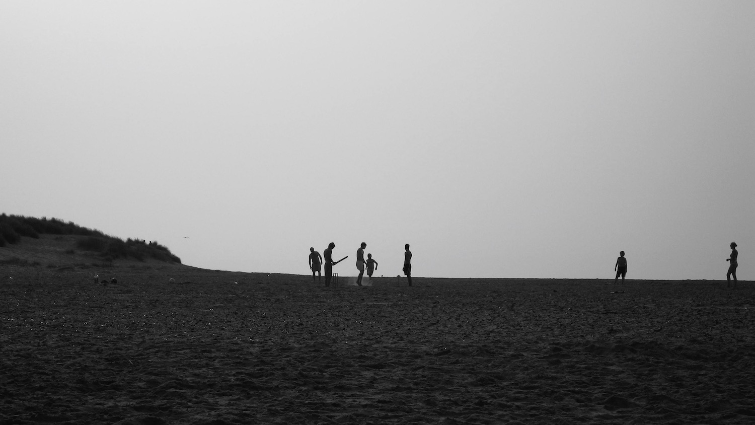 Cricket on the Beach