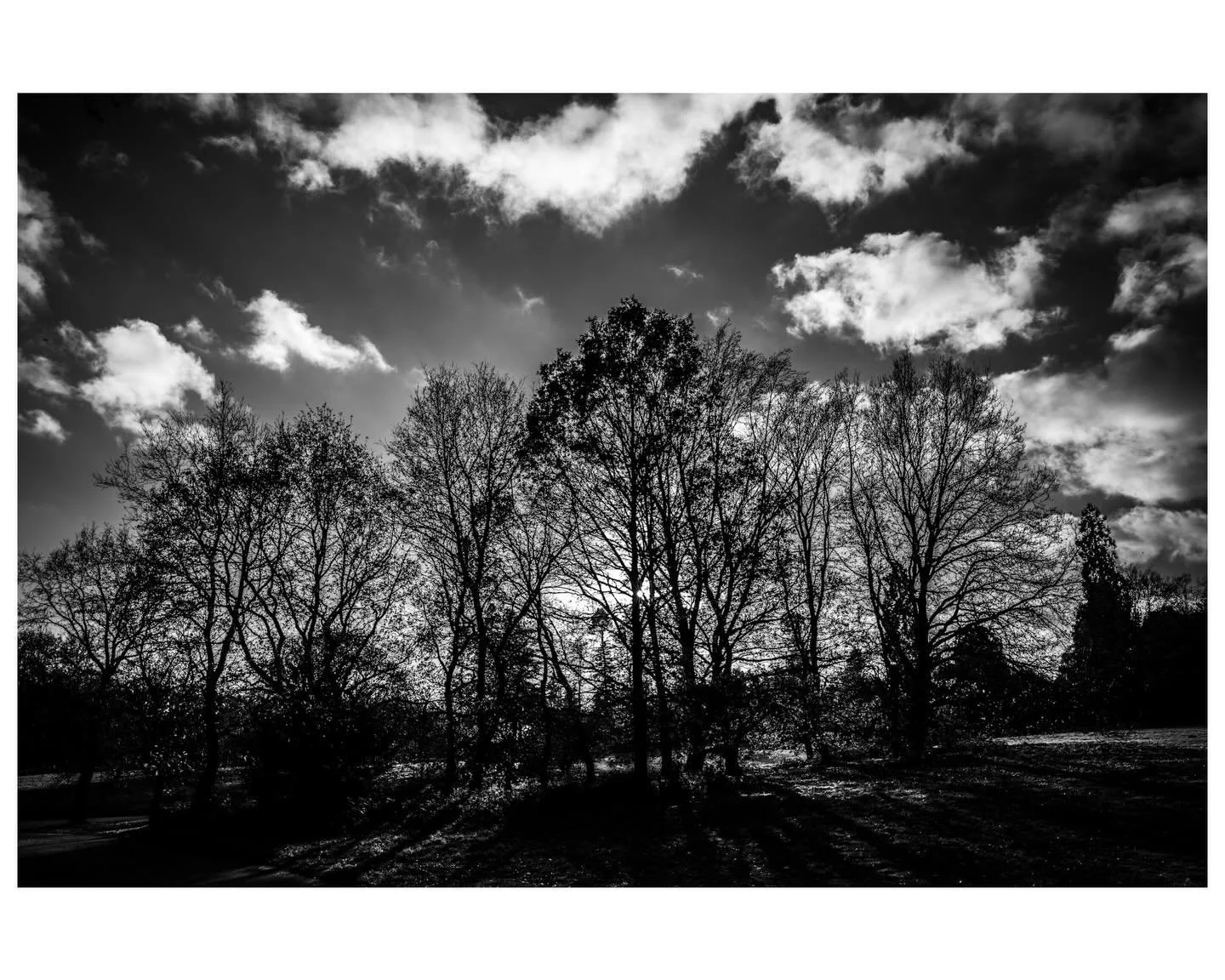 Sunday walk with 📷
#antoxleyphoto #photographer #photooftheday #leica #camera #walk #nature #naturecaptures