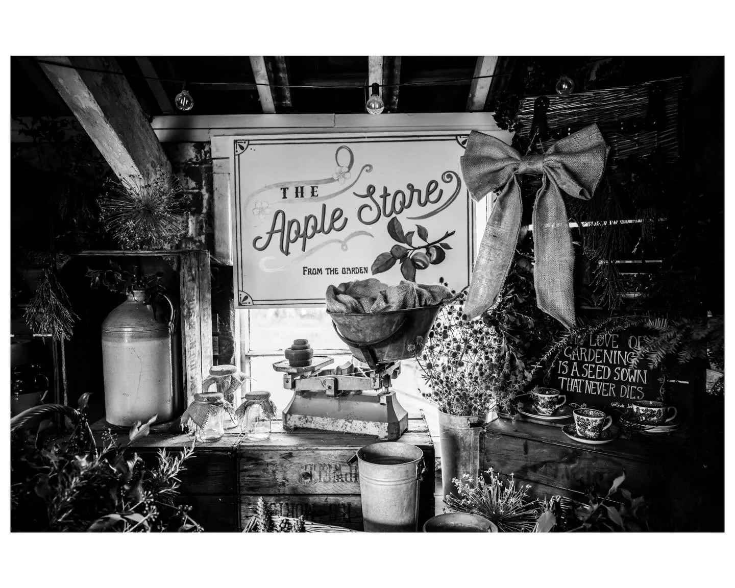 Sunday walk with 📷
#antoxleyphoto #photographer #photooftheday #leica #camera #walk #nature #naturecaptures