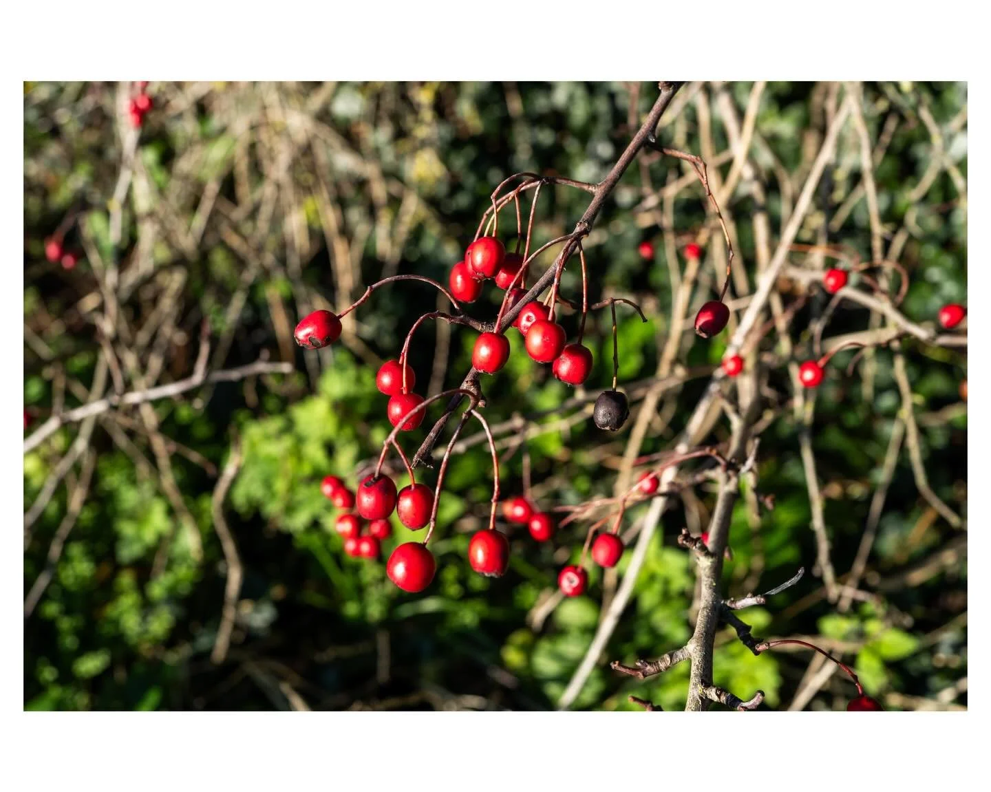 #antoxleyphoto #photgrapher #photo #photooftheday #monochrome #leica