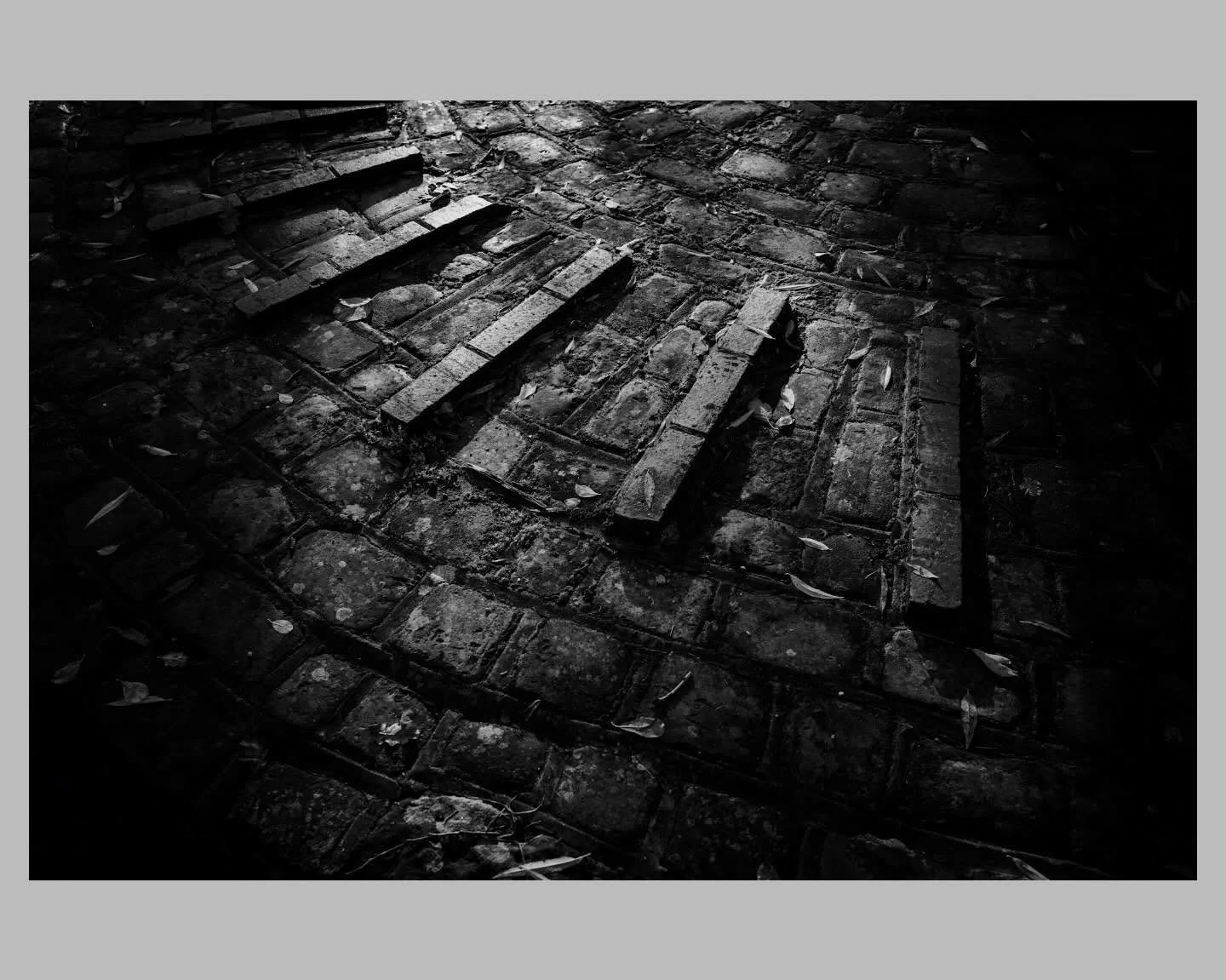 #antoxleyphoto #photgrapher #photo #photooftheday #monochrome #leica