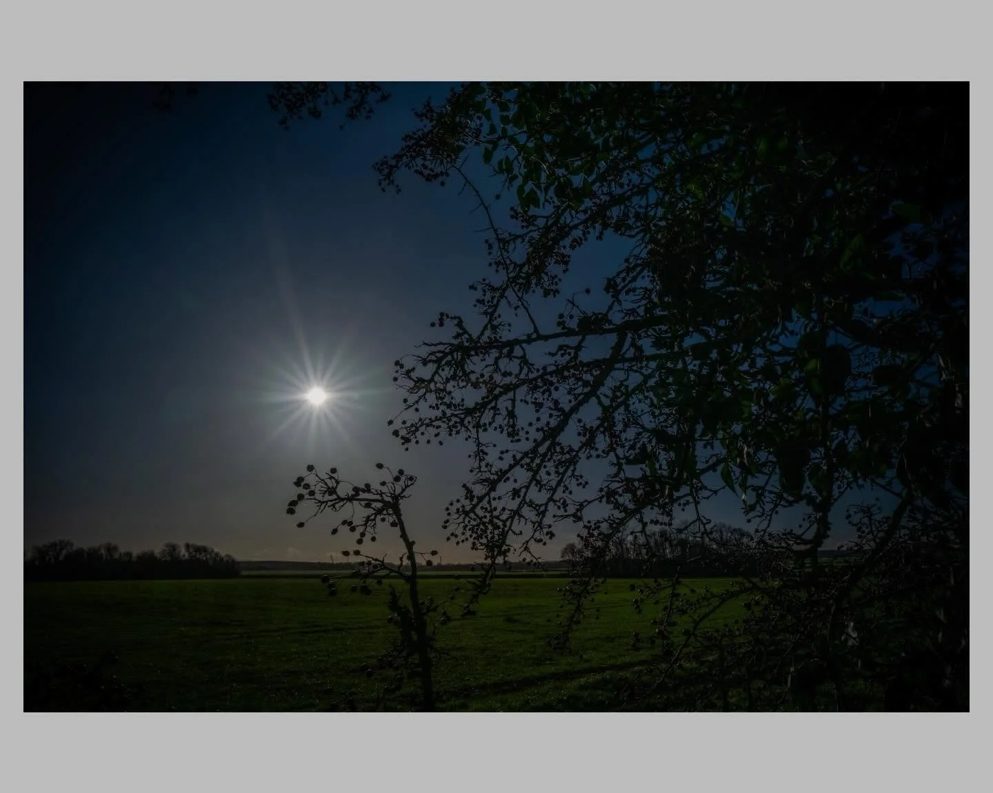 Berries in December.
#antoxleyphoto #photographer #photooftheday #winter #sun #season #leica
