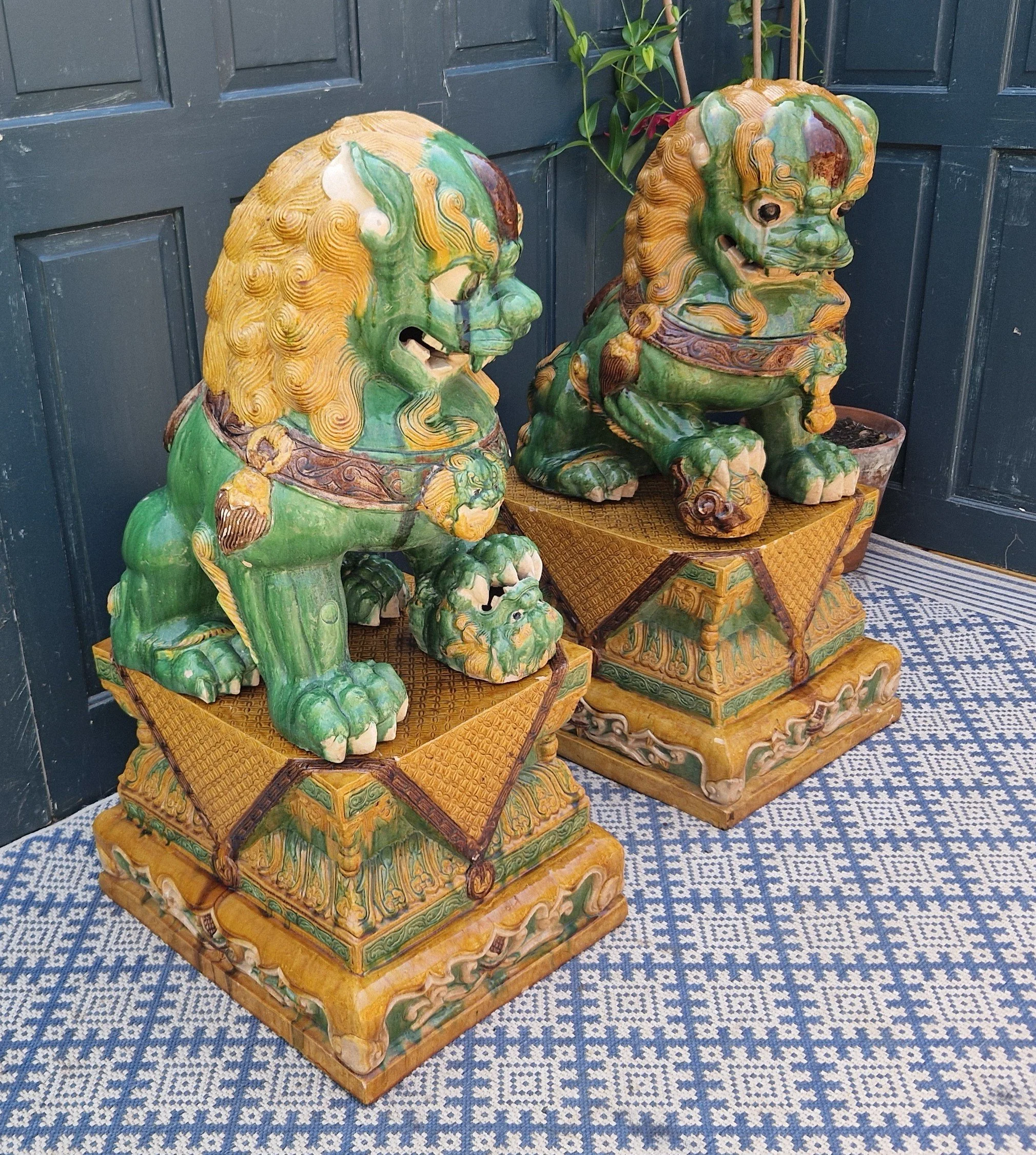 Foo dogs pair 4.jpg