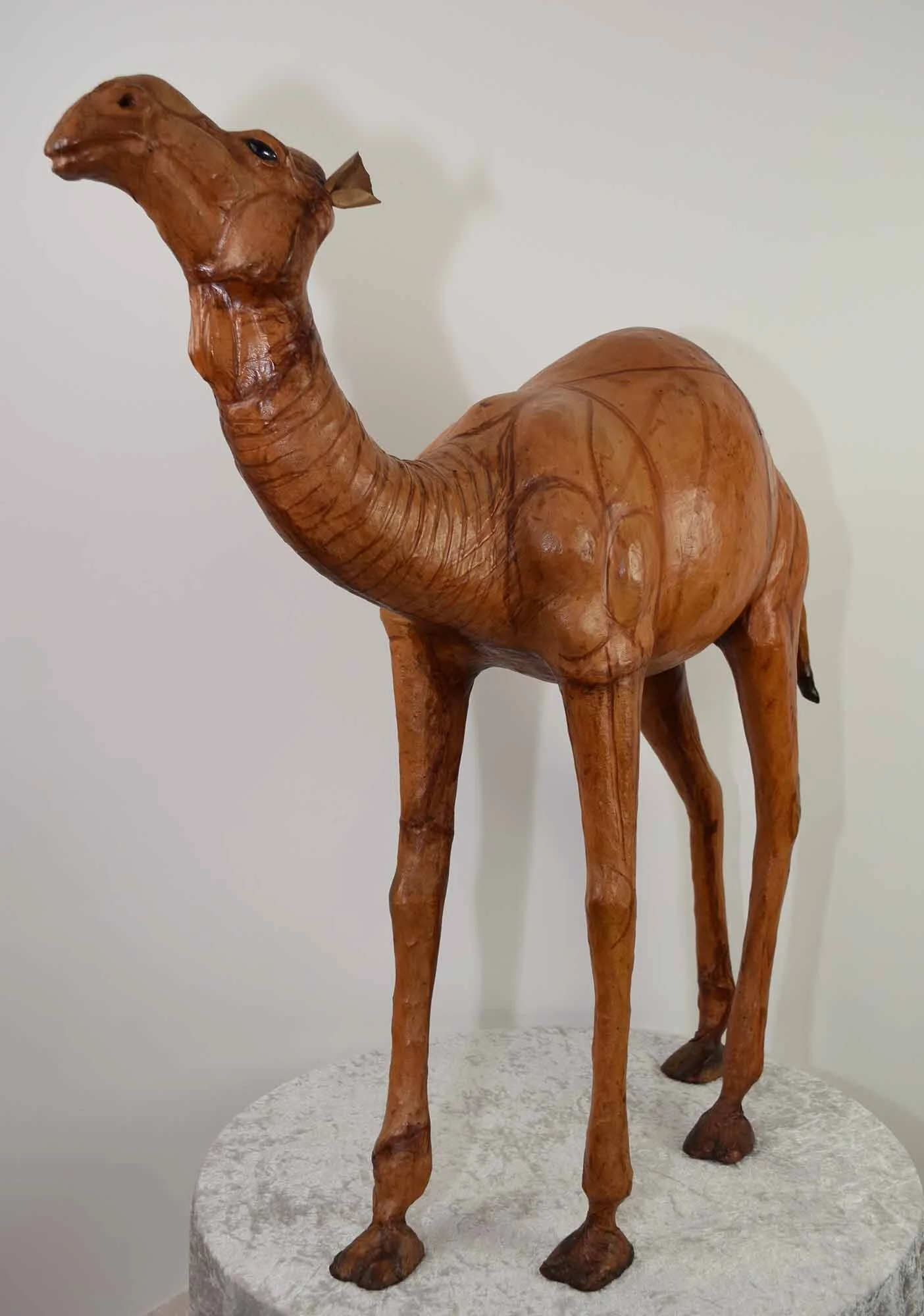 Leather Camel 1.JPG