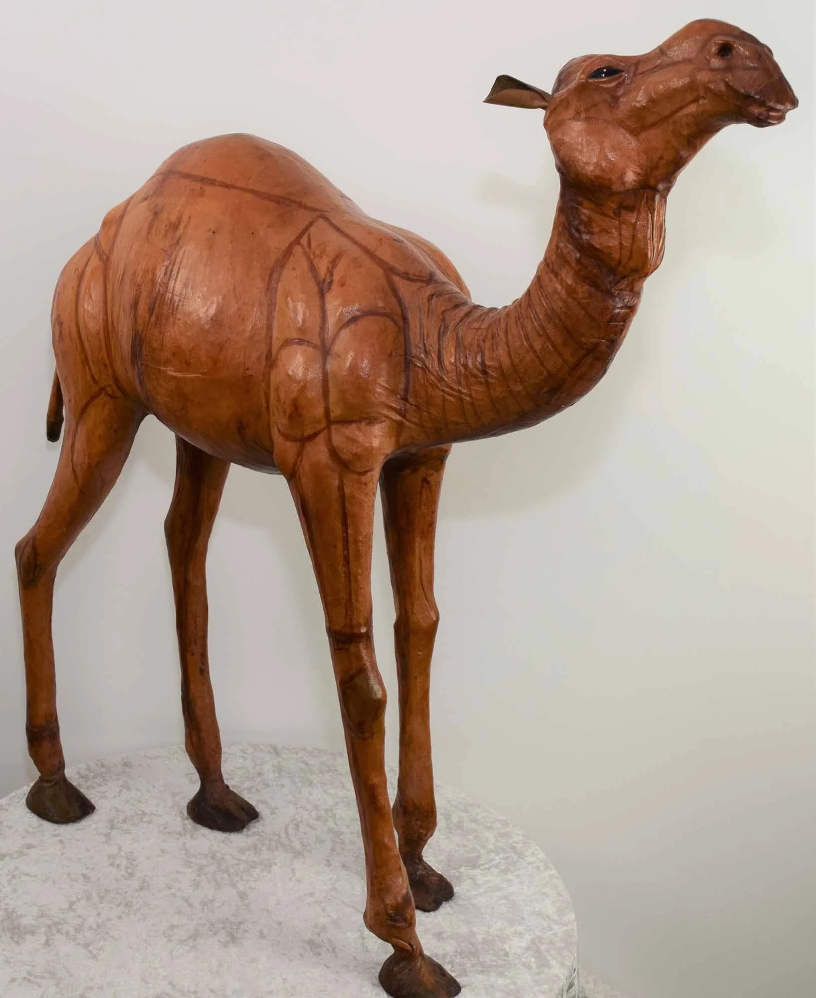 Leather Camel 3.JPG