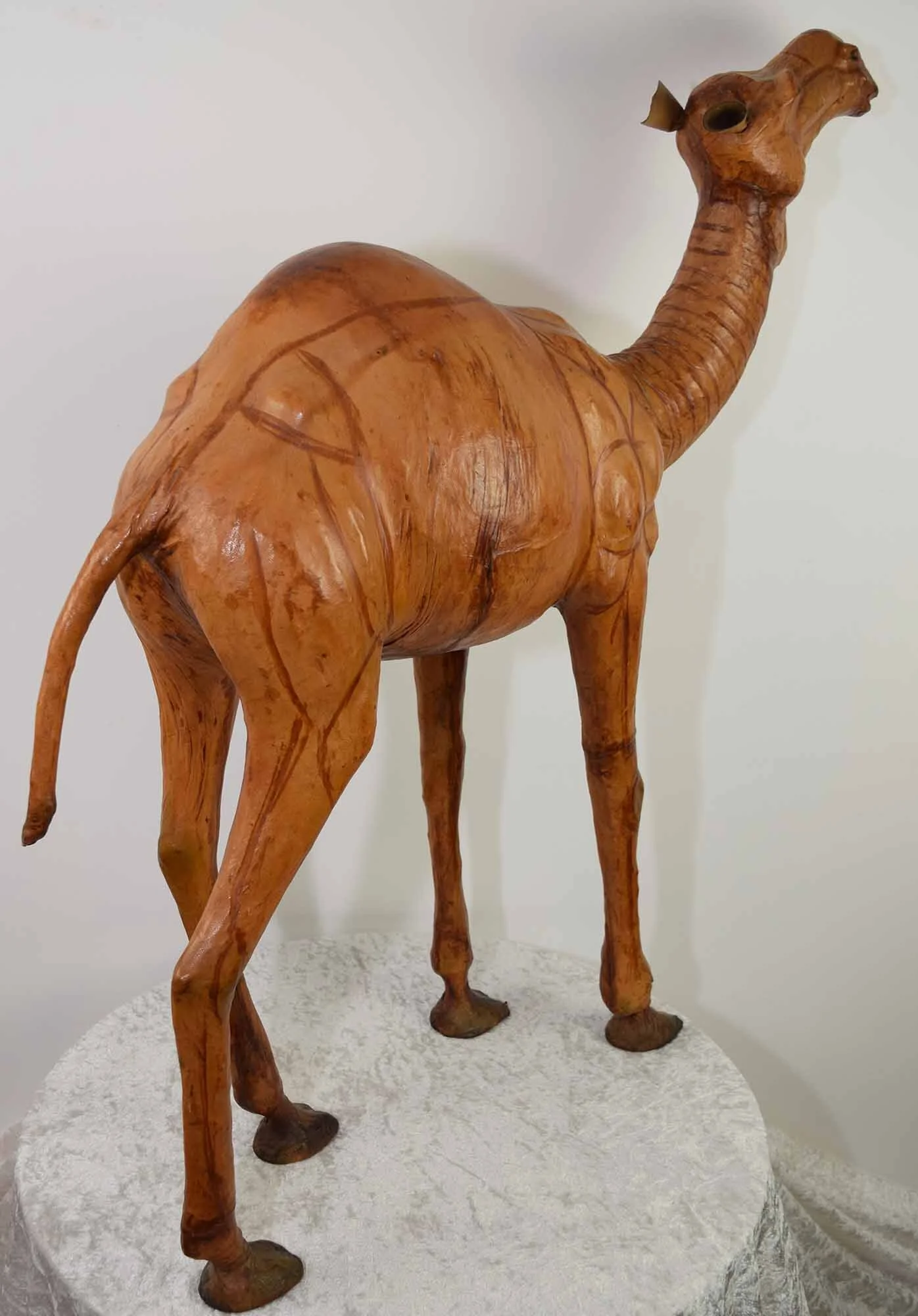 Leather Camel 6.JPG