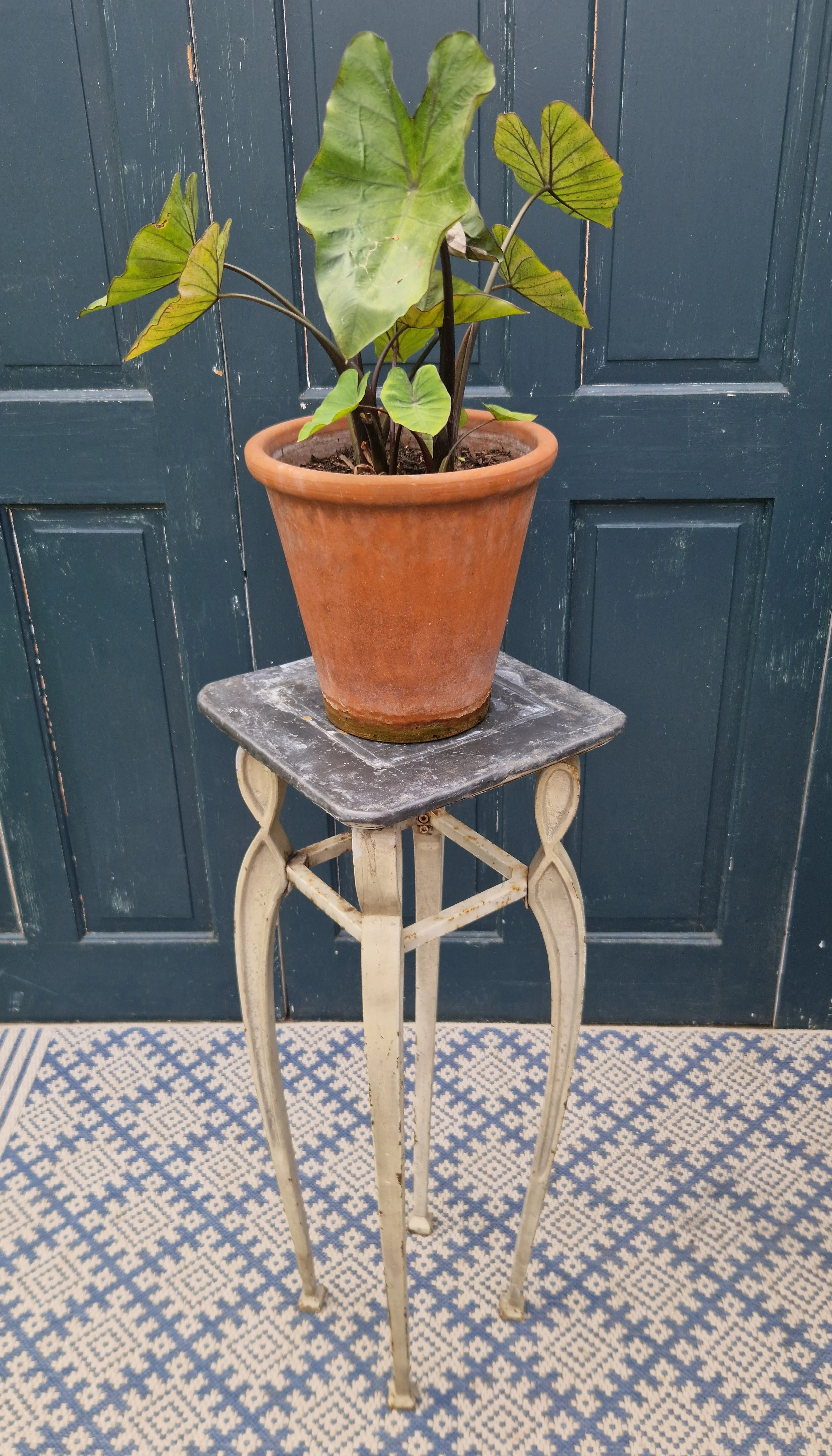 Cast rion plant stands 12.jpg