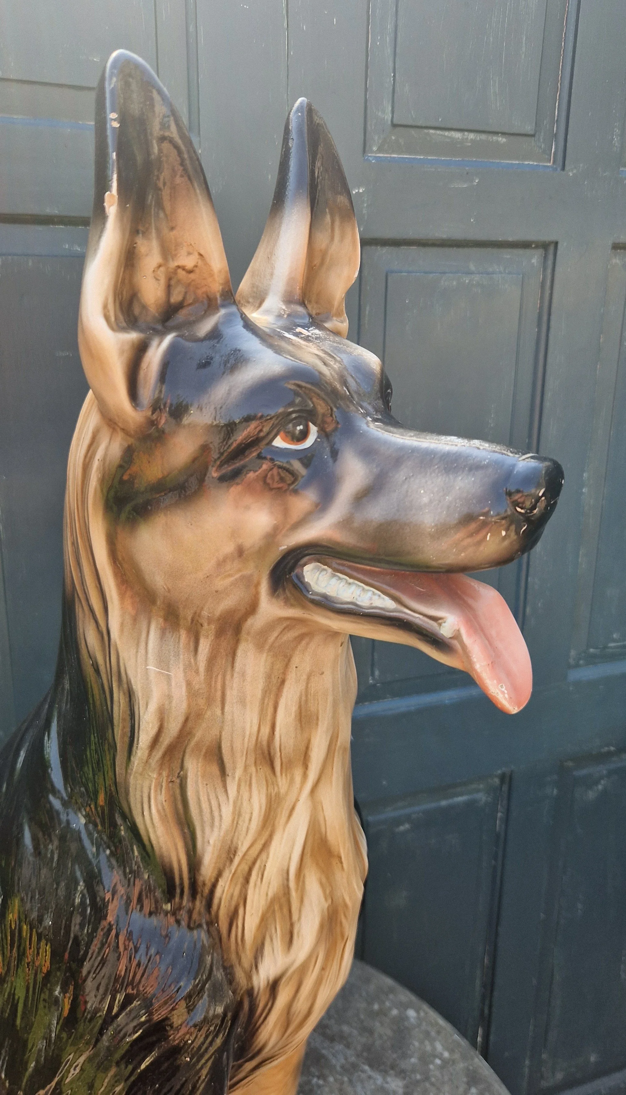 German Sheppard 7.jpg