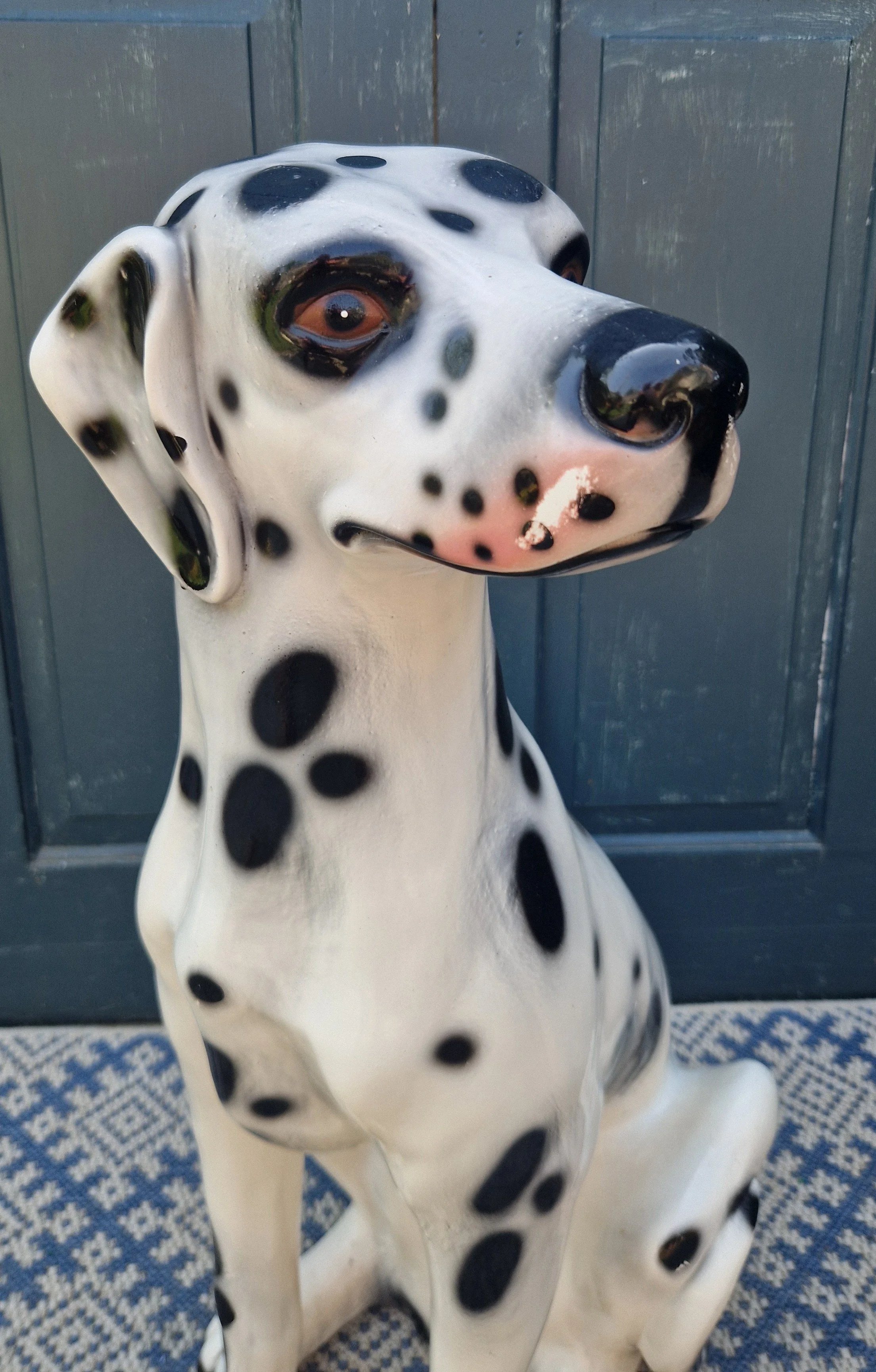 Dalmation 6.jpg