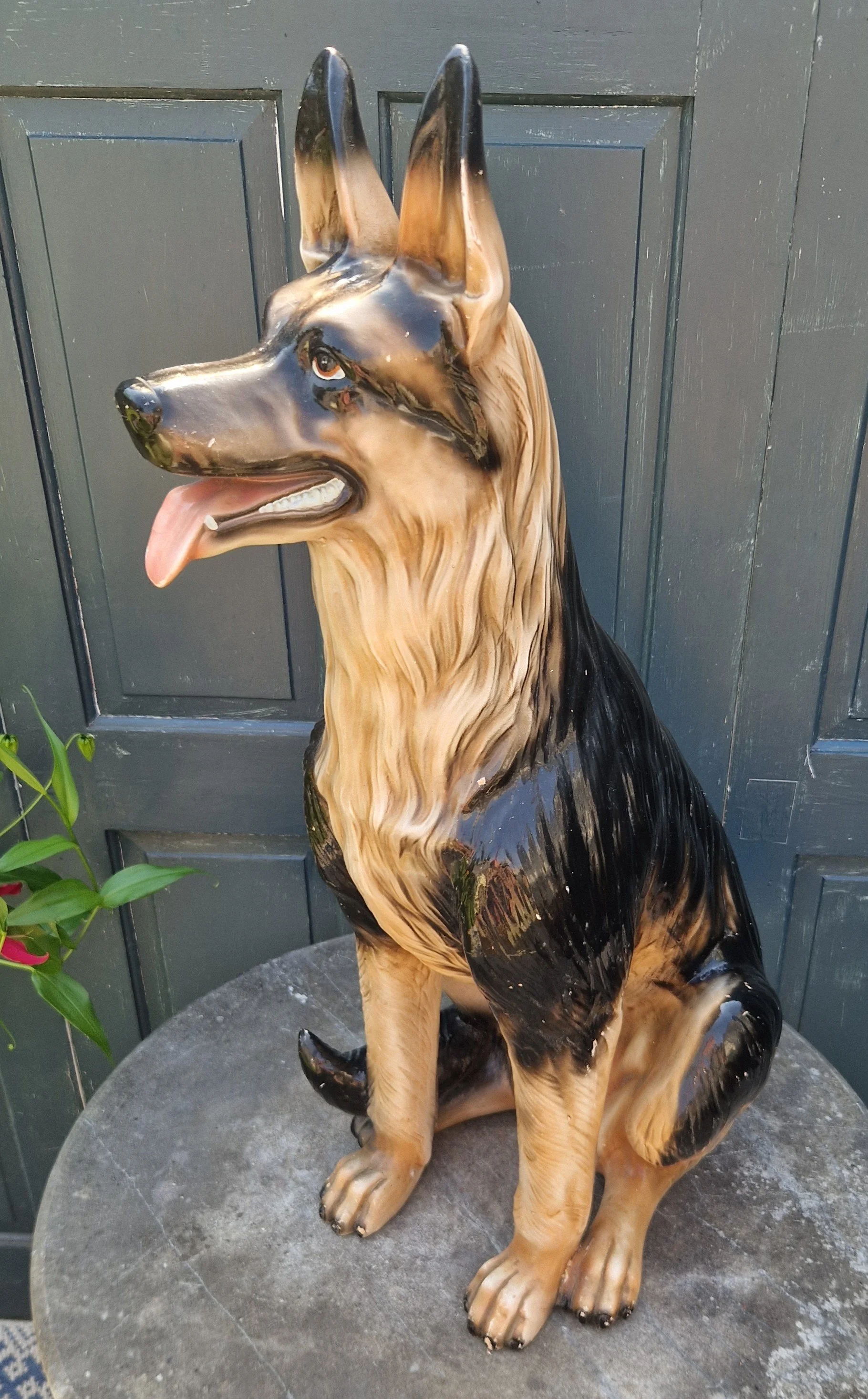 German Sheppard 5.jpg