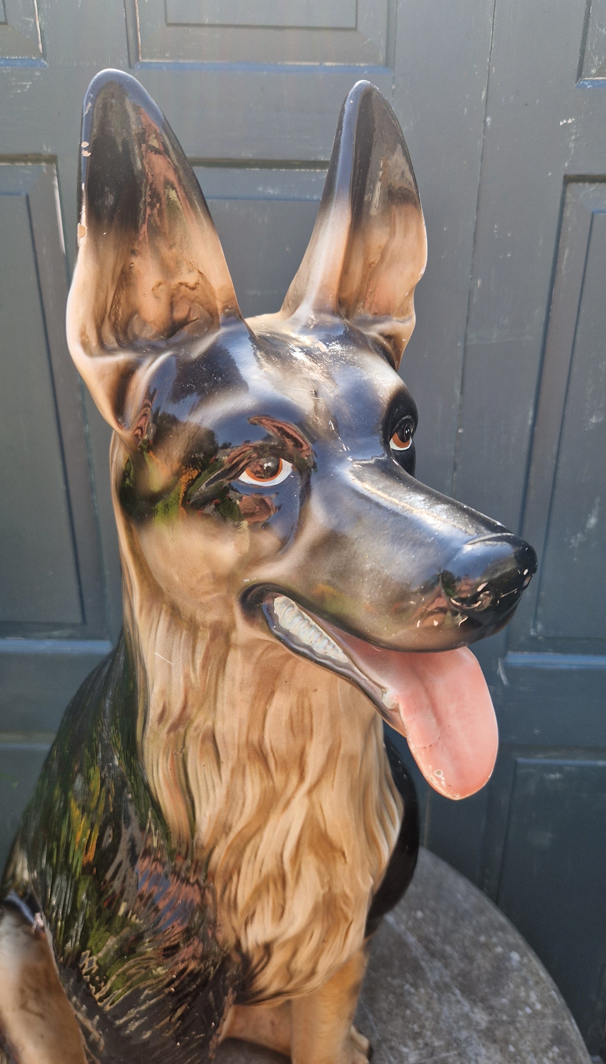 German Sheppard 6.jpg