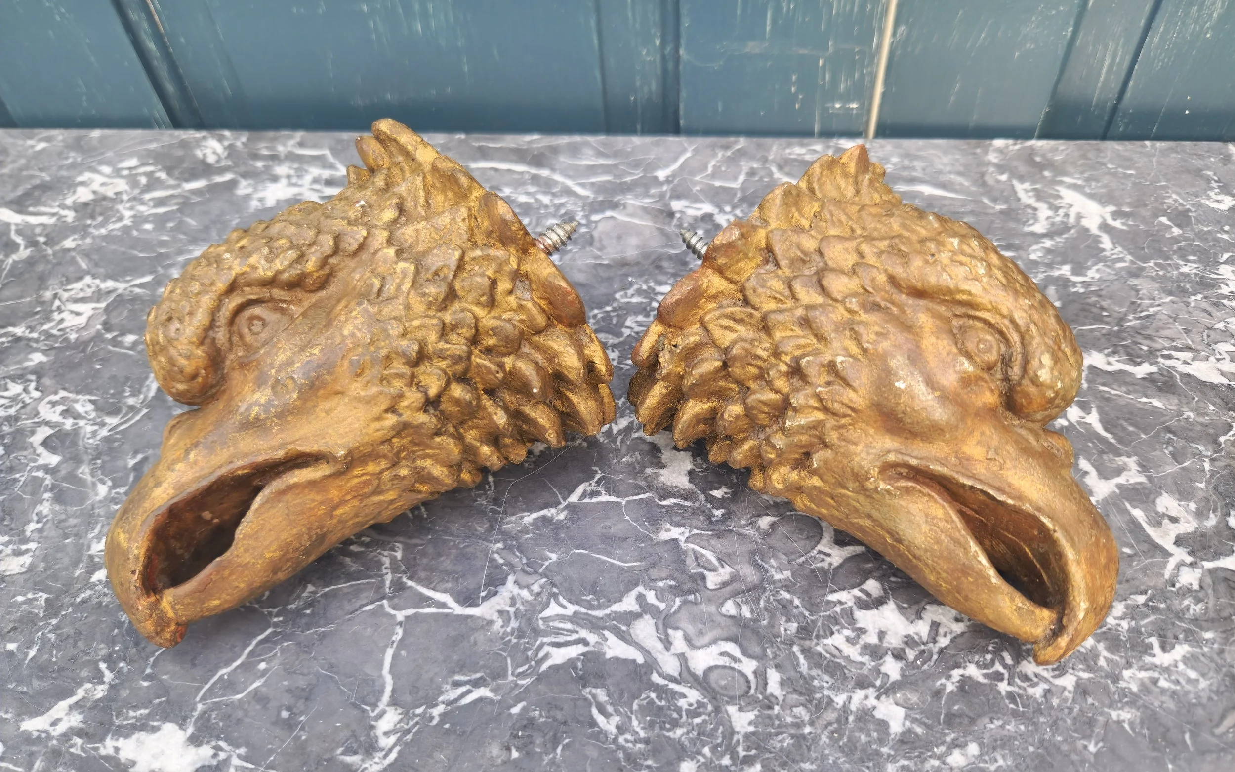 Eagle heads 1.jpg