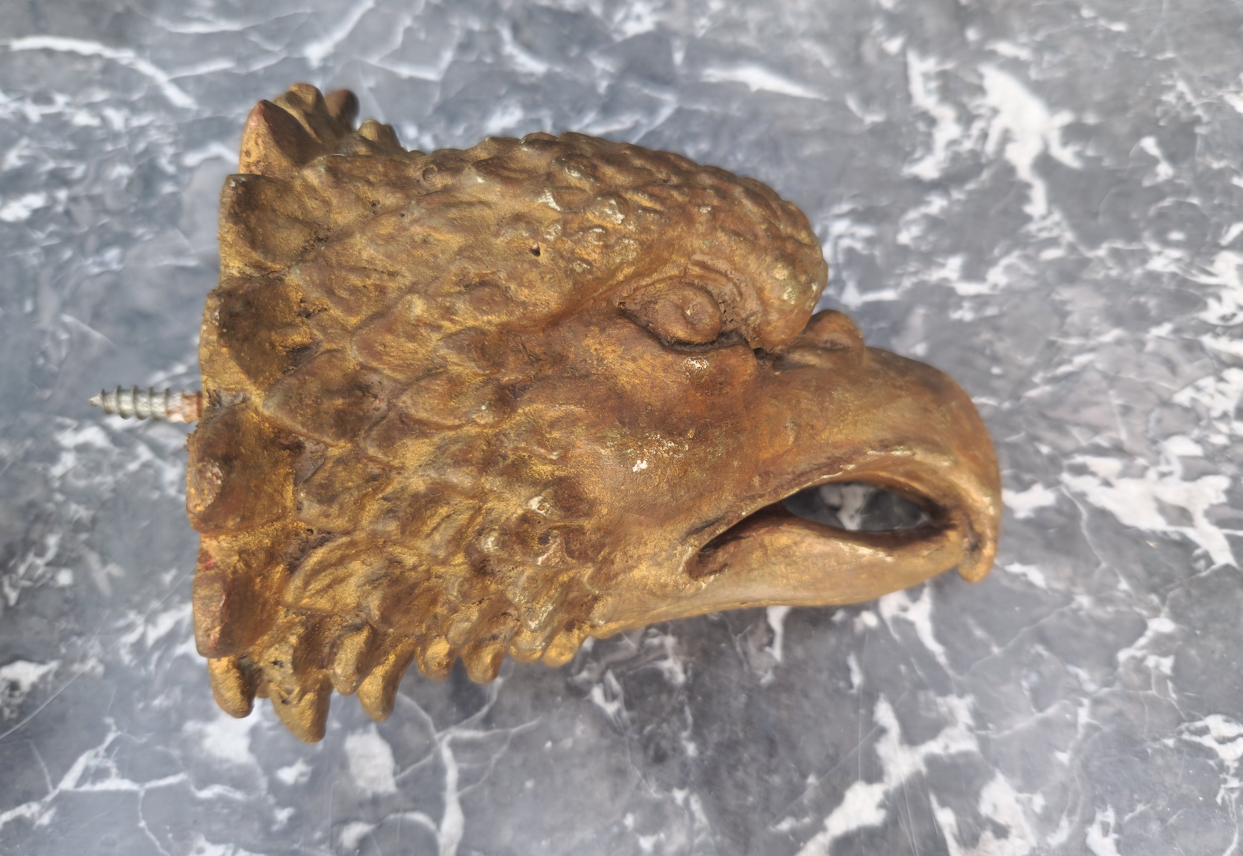 Eagle heads 7.jpg