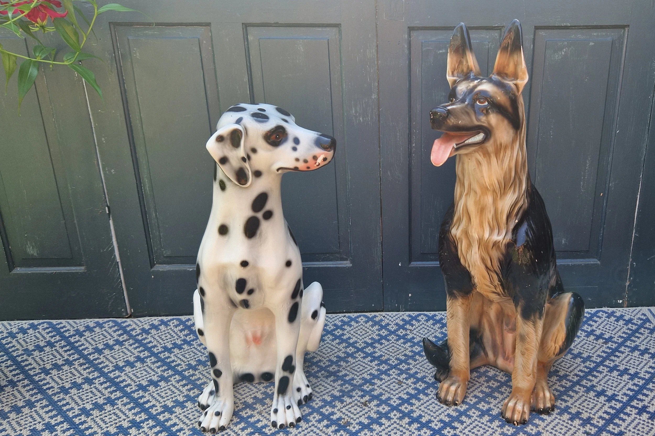German Sheppard 10.jpg