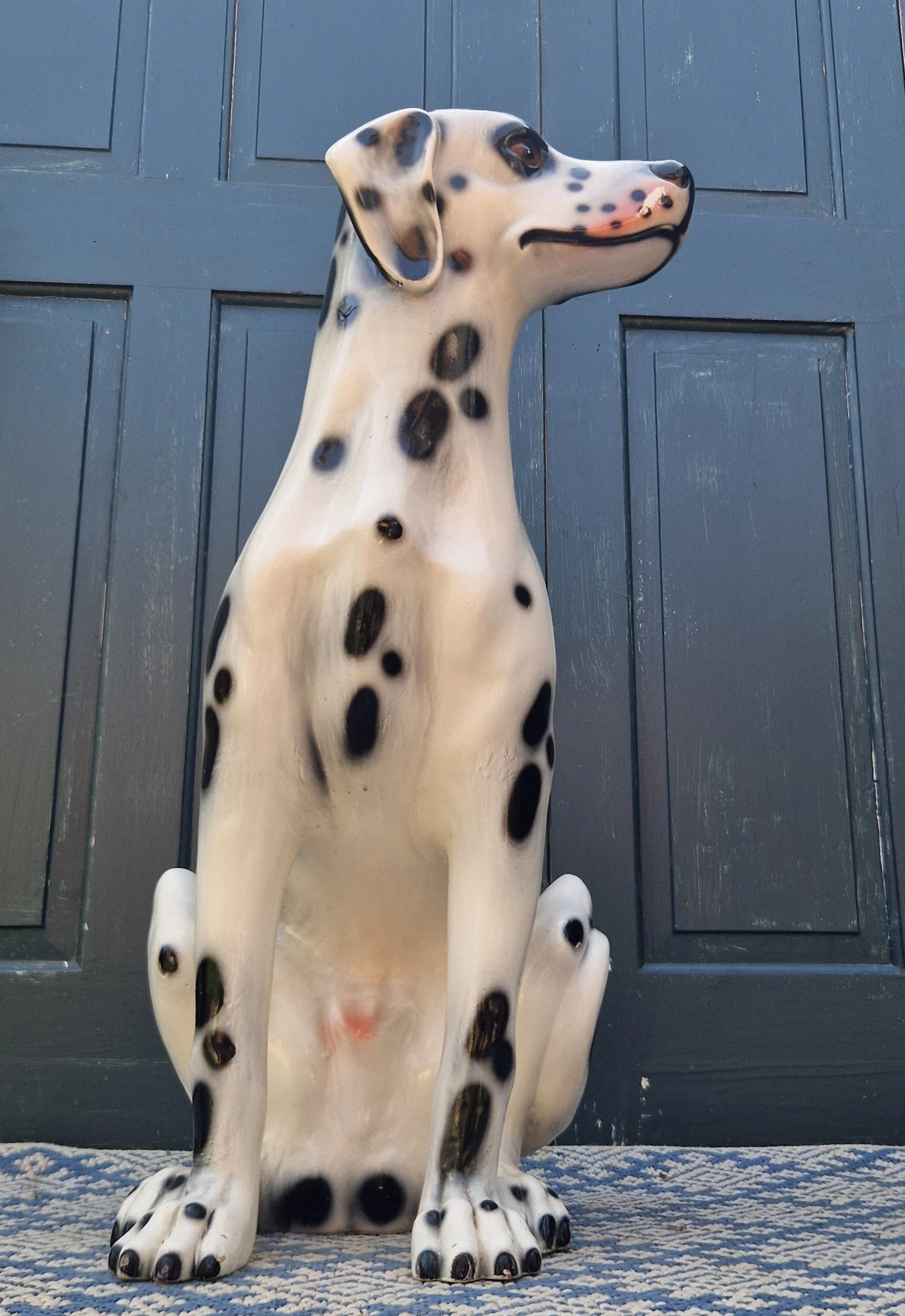Dalmation 7.jpg
