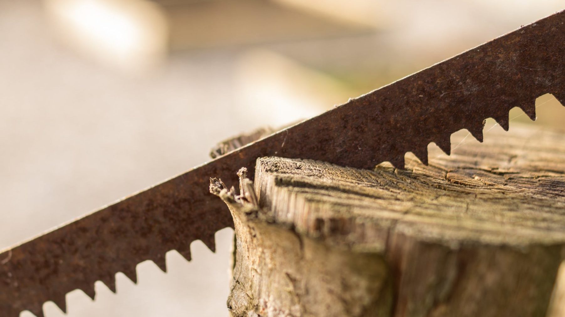 #63 | Where do fundraising professionals go to sharpen their saw?