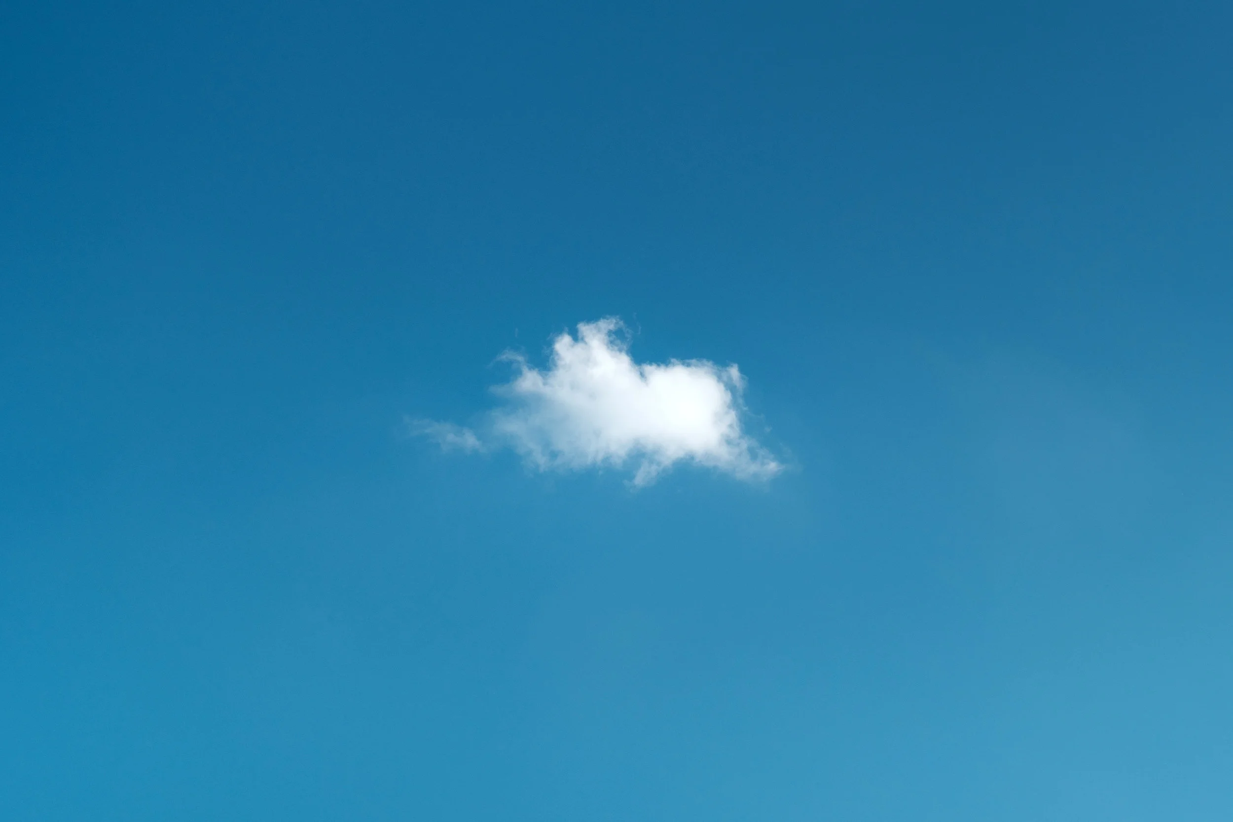 #23 | Fundraising Consultants: "We're not gurus..."