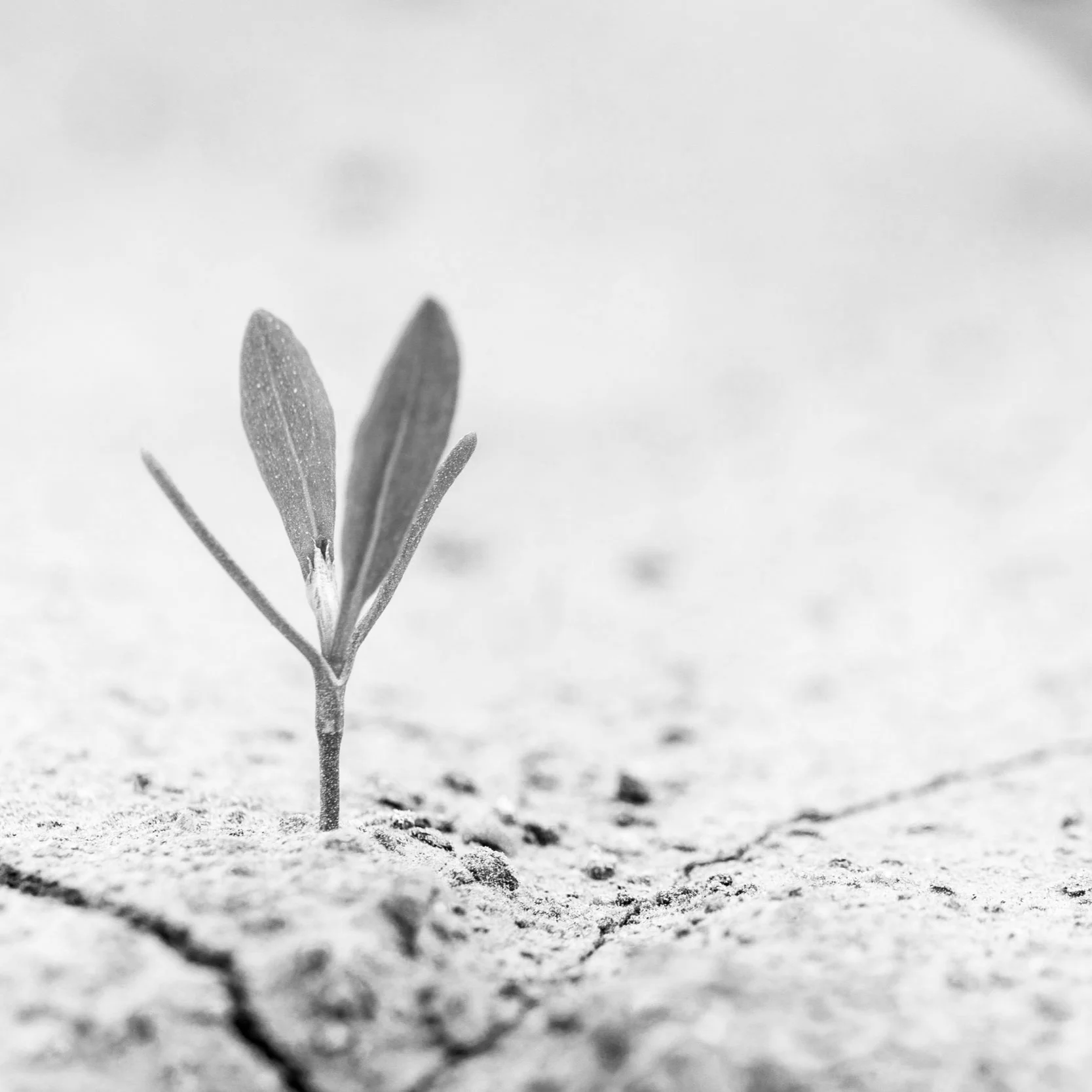 #94 | Will the emerging generation of fundraising professionals be better supervisors?