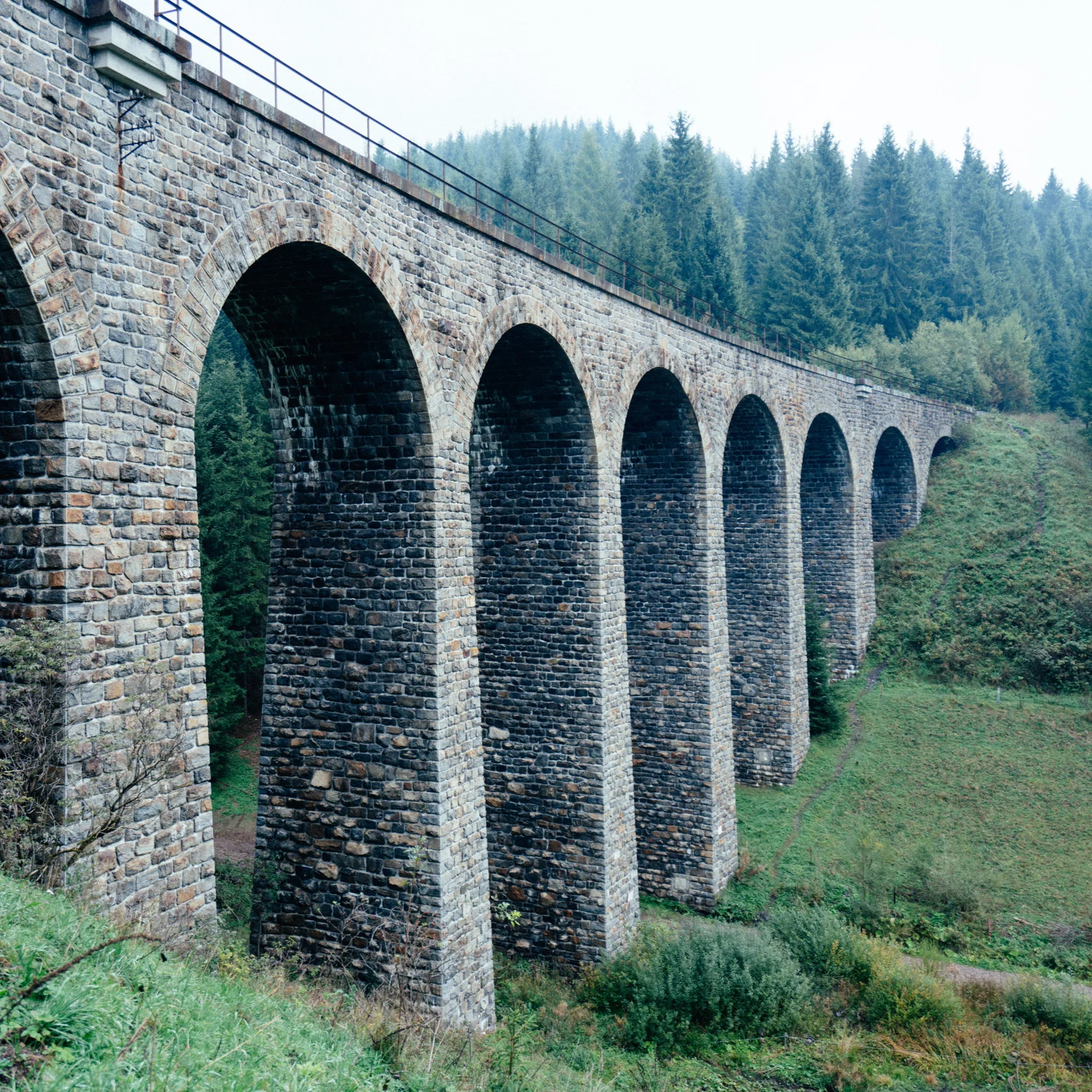 #100 | How can a shared purpose become the bridge between the generations?