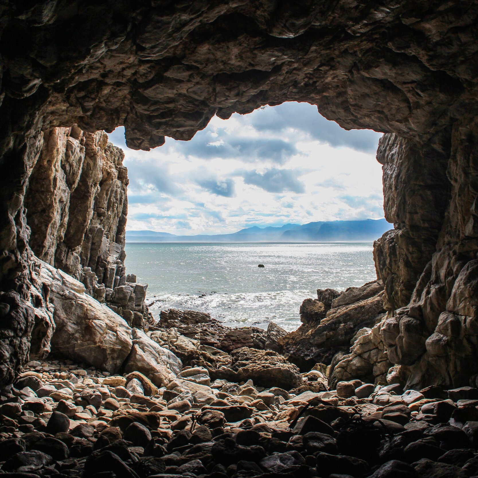 #139 | Are fundraising professionals allowing the primitive side of our brain to take over?