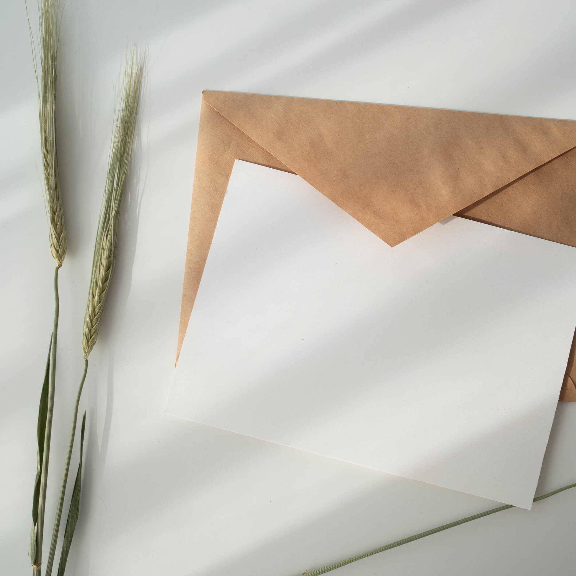 #141 | Perhaps fundraising makes more sense as an invitation rather than an ask?